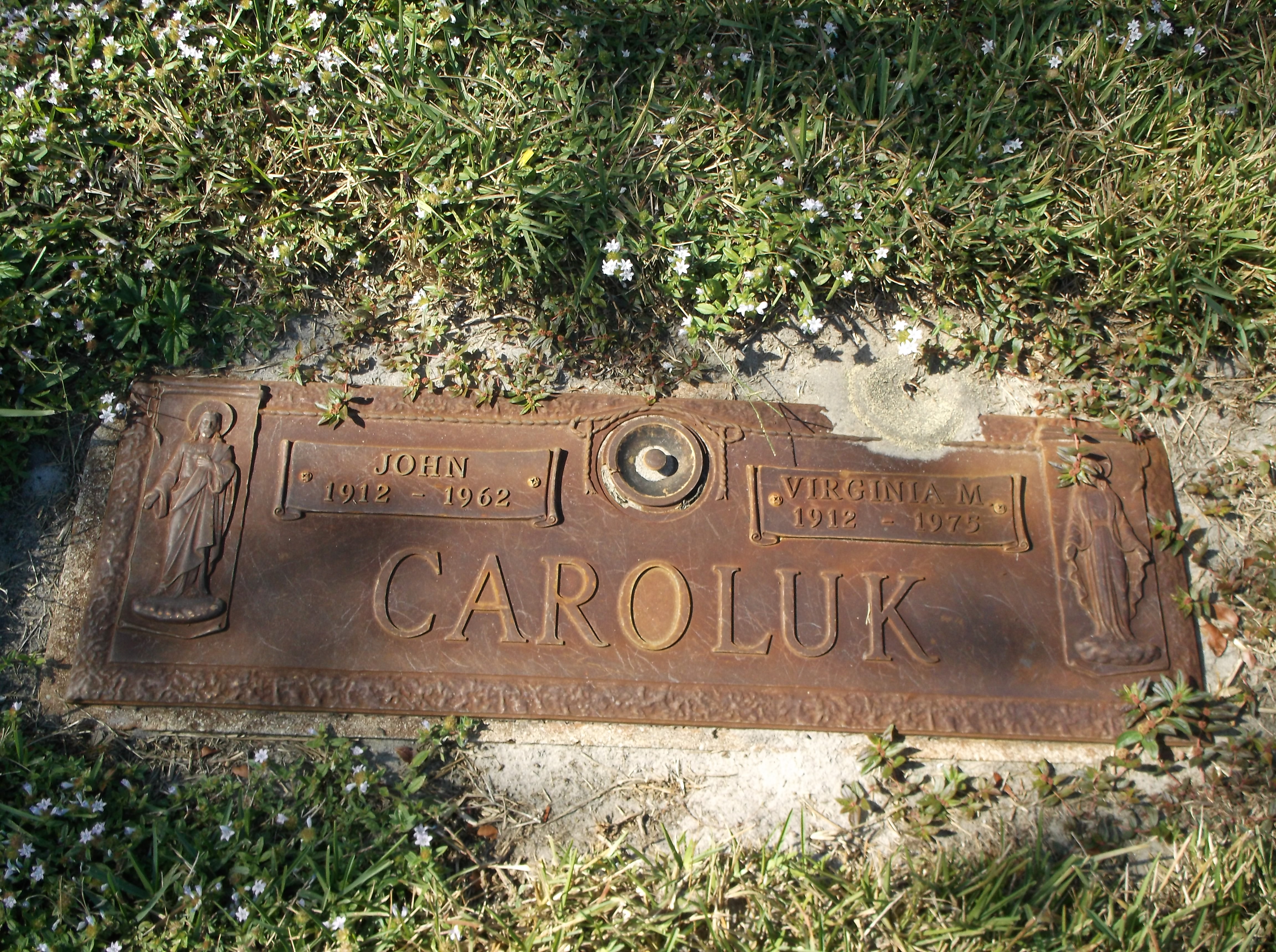 Virginia M Caroluk