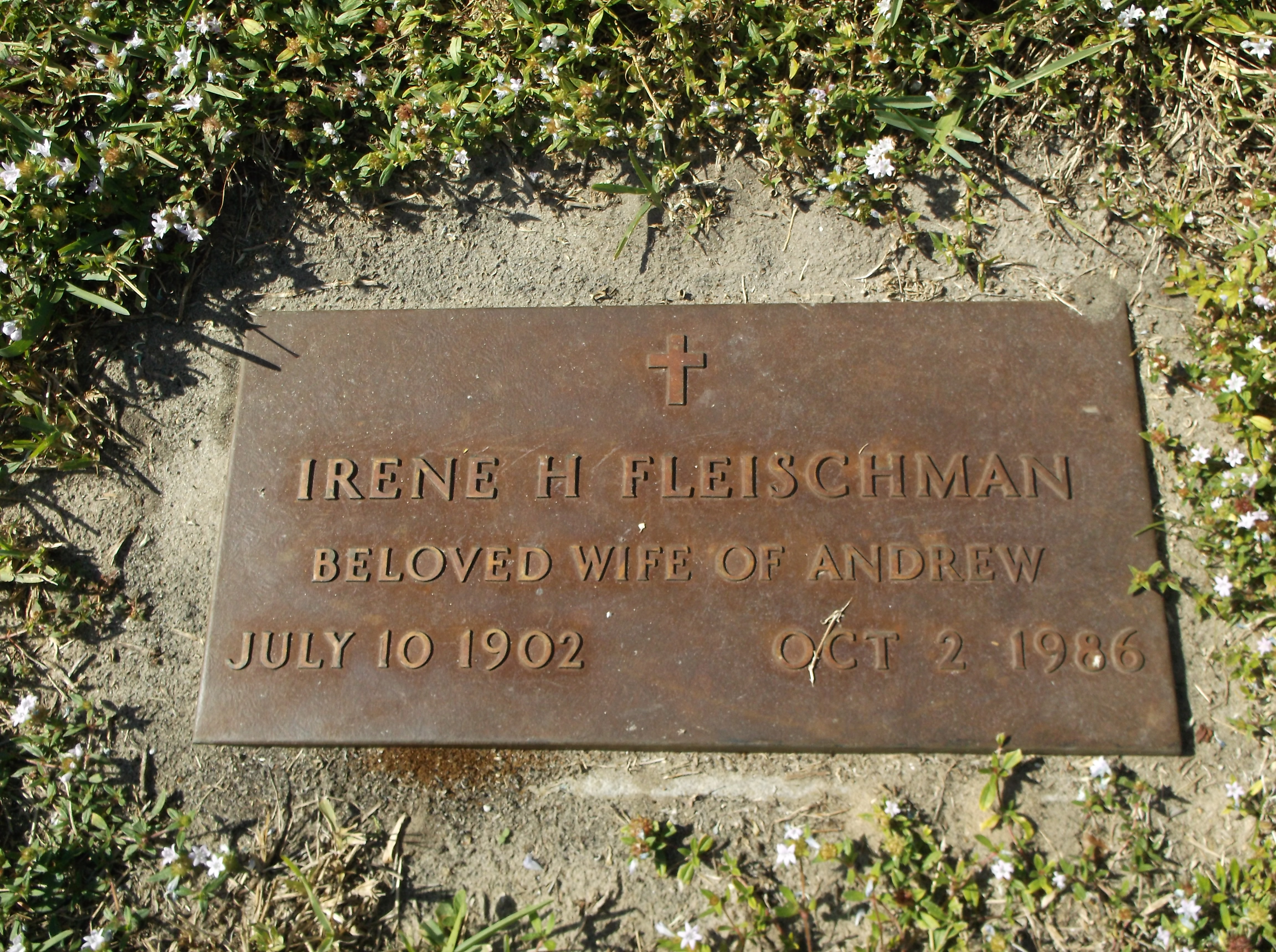 Irene H Fleischman