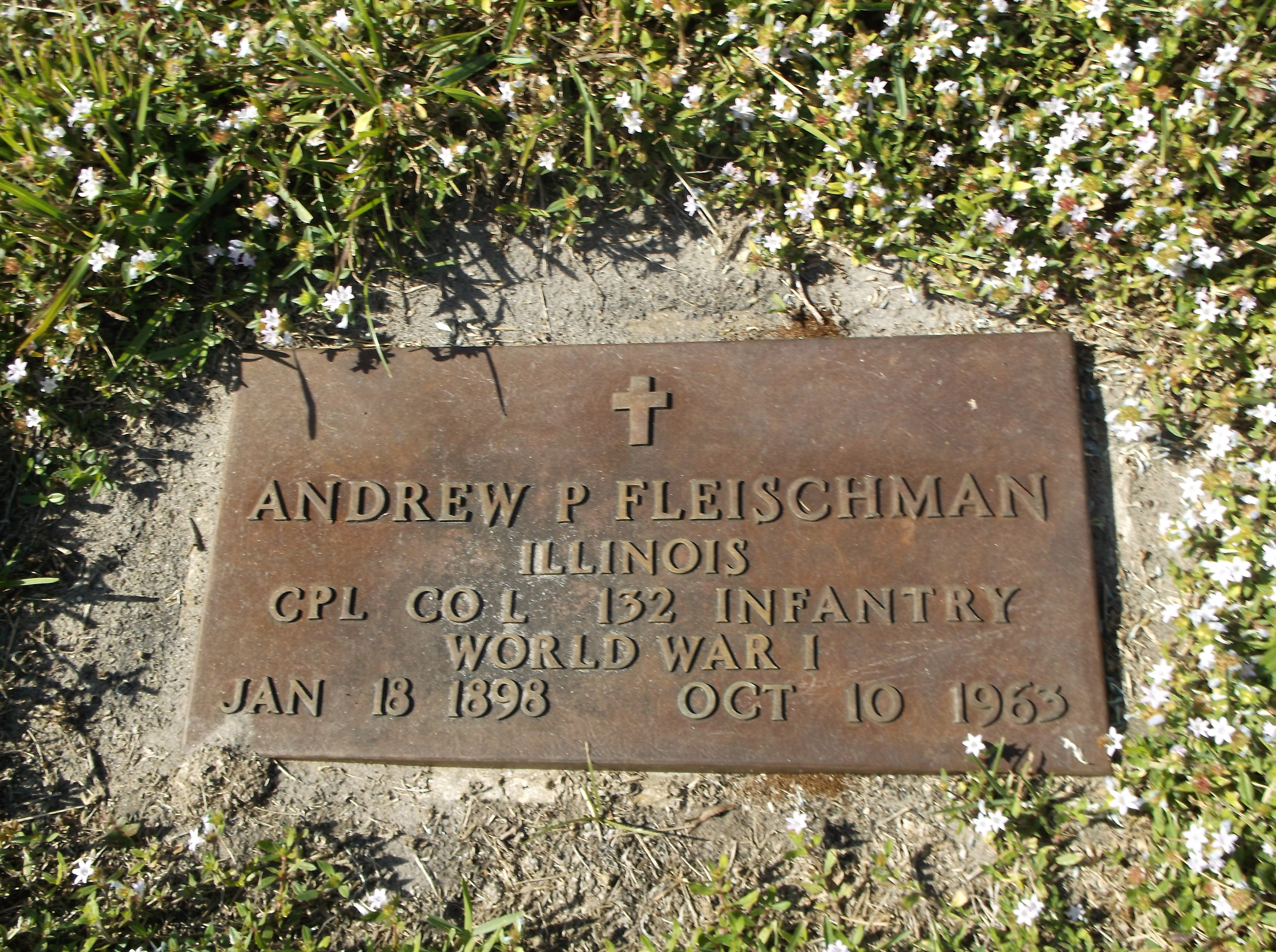 Andrew P Fleischman