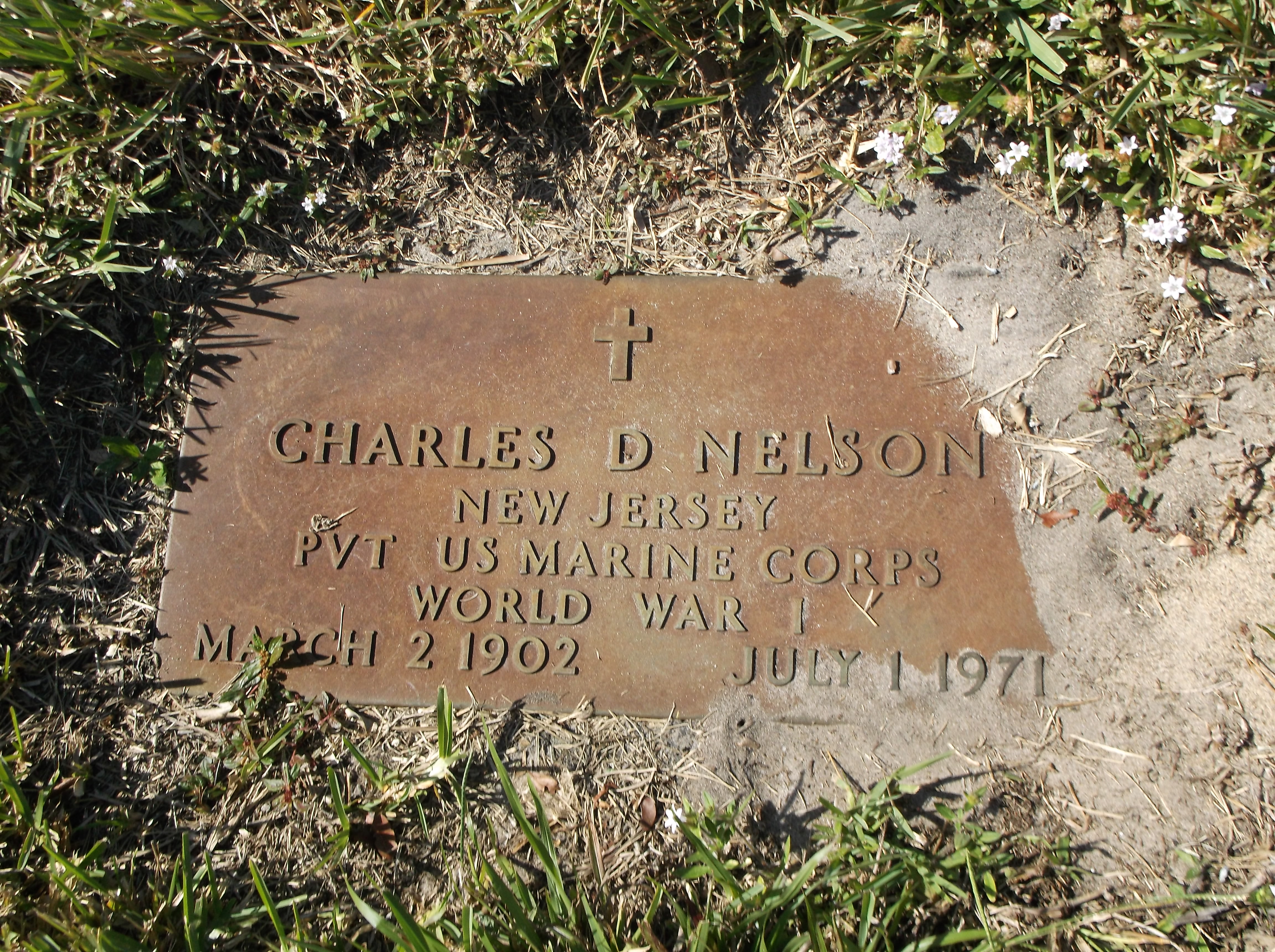 Charles D Nelson