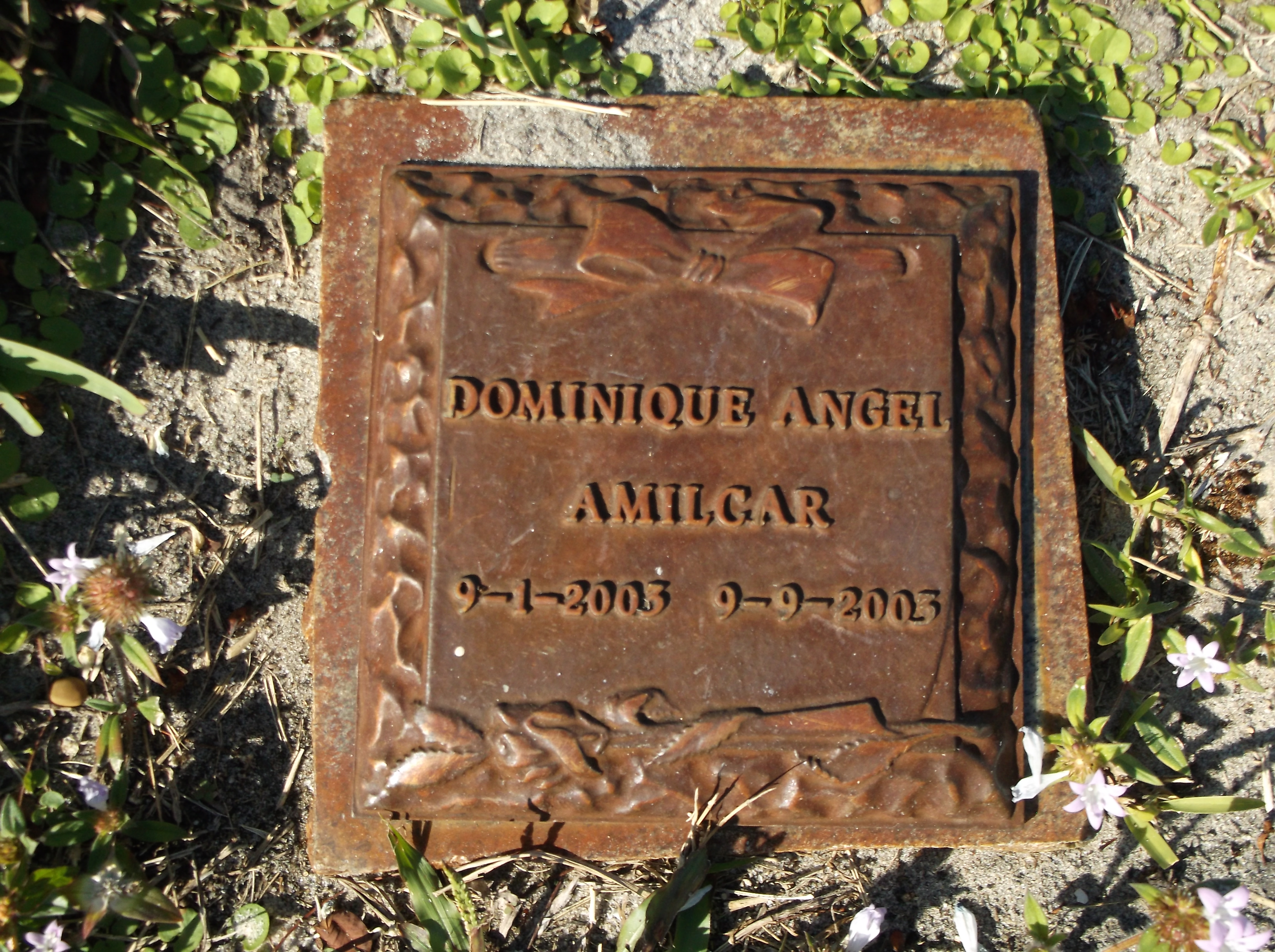 Dominique Angel Amilcar
