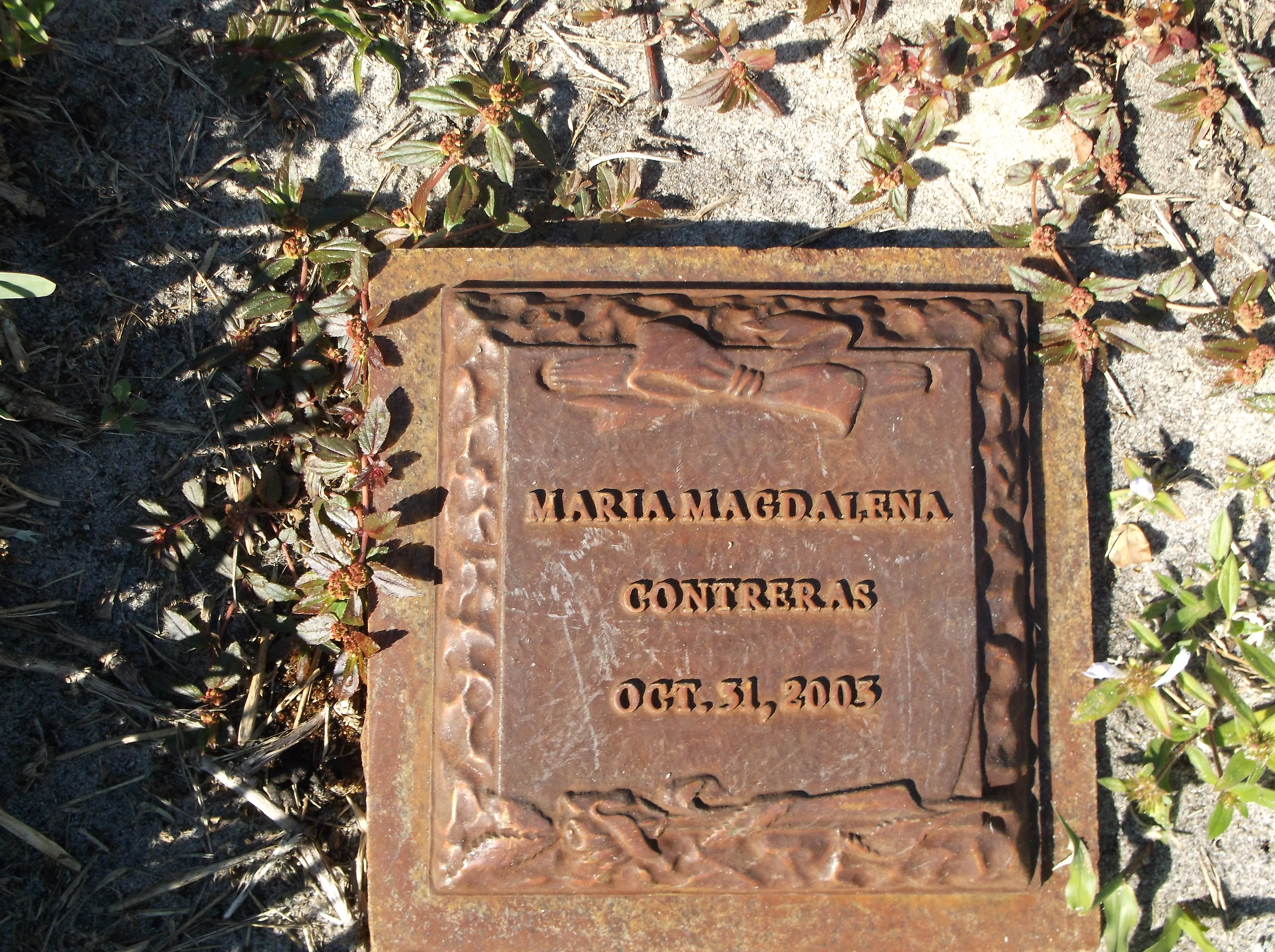 Maria Magdalena Contreras
