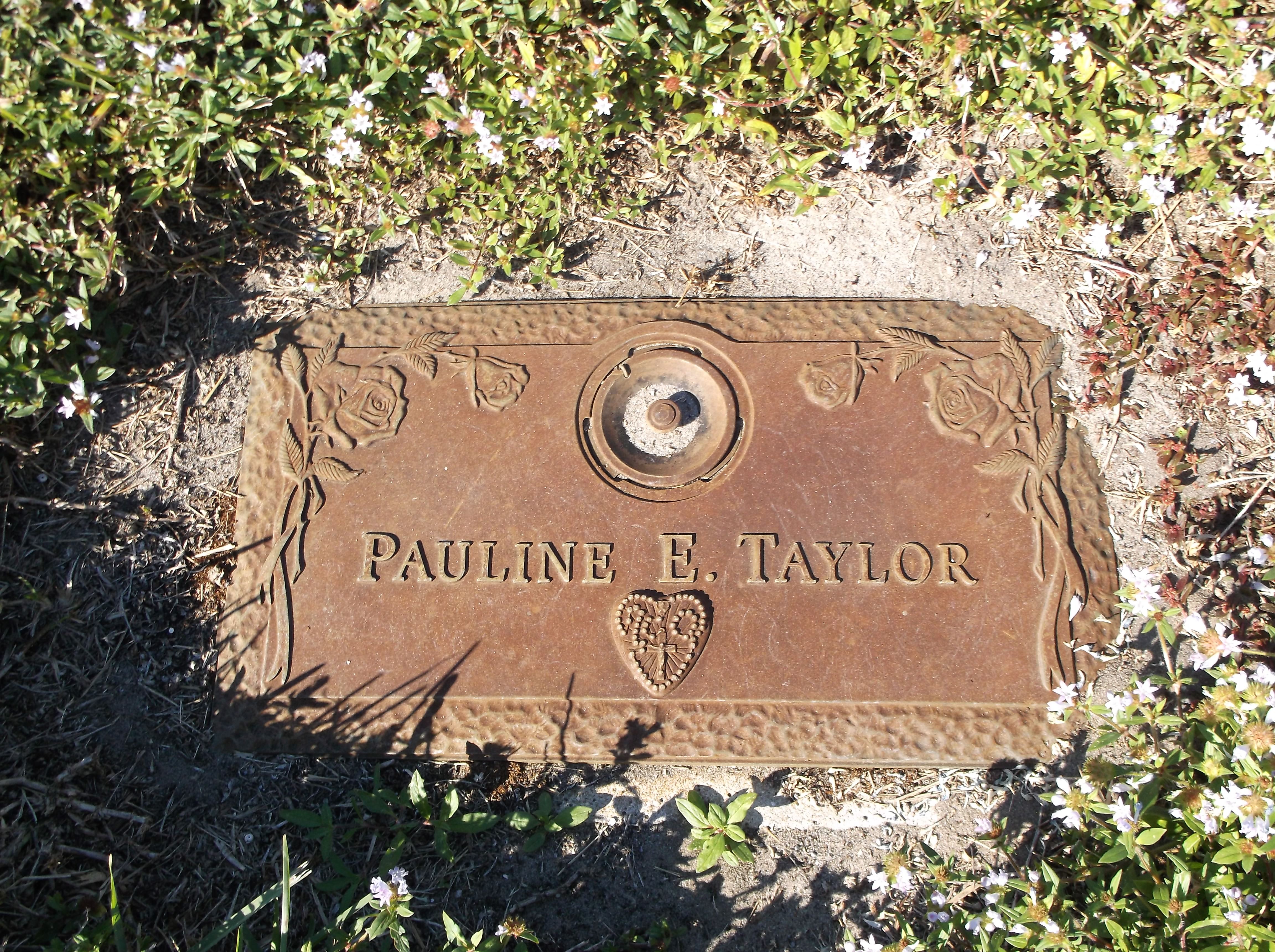 Pauline E Taylor