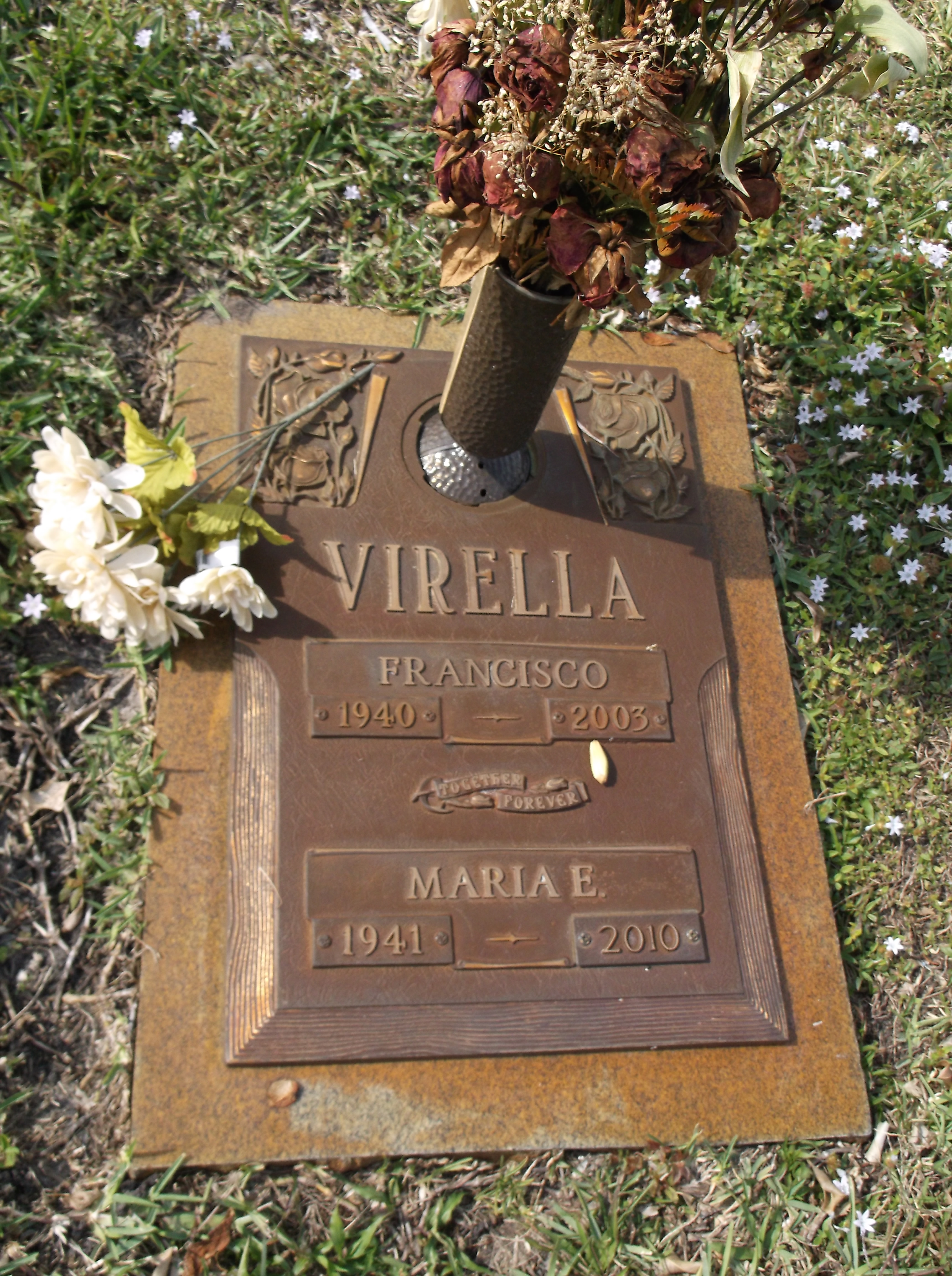 Maria E Virella