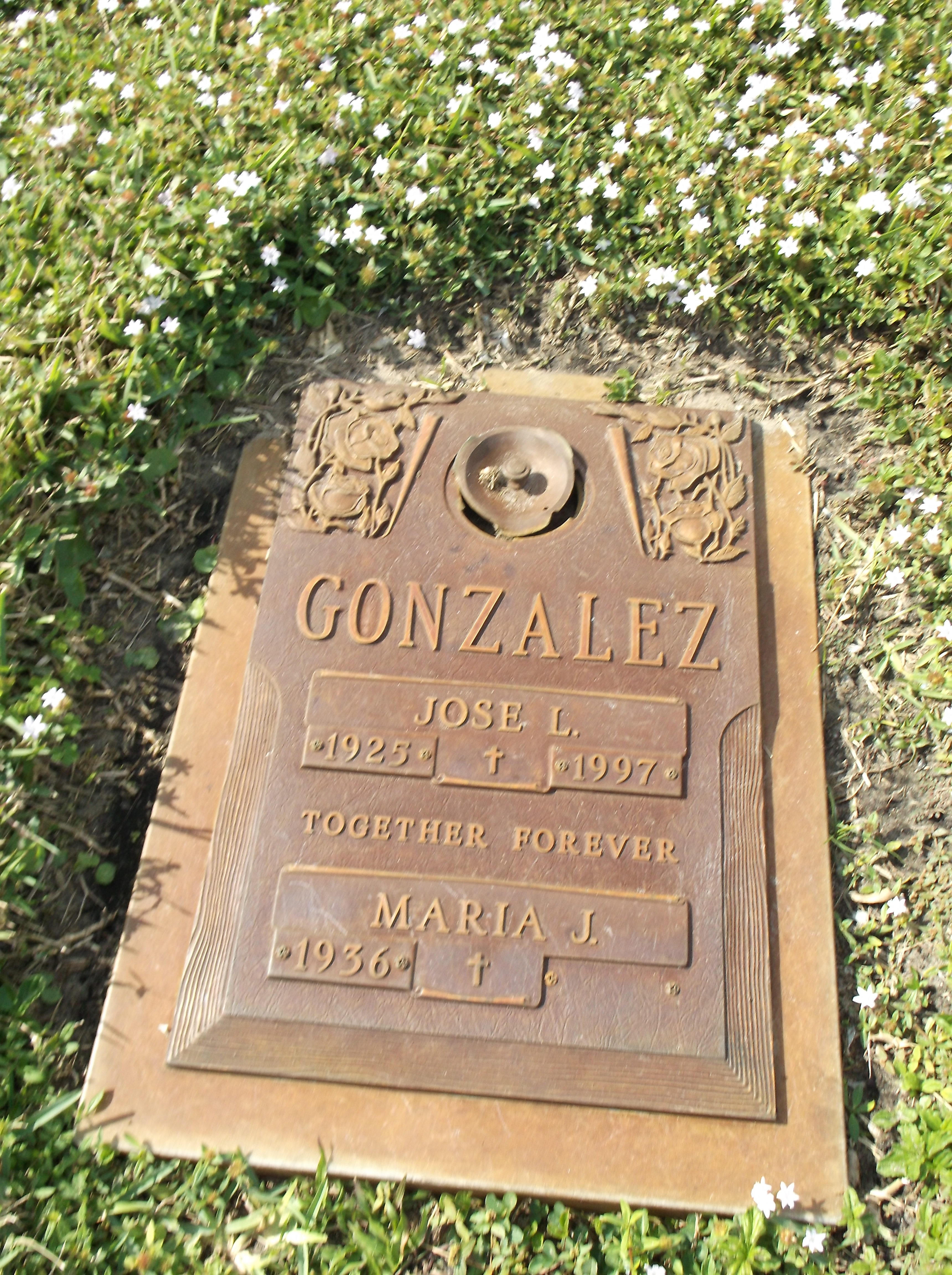 Jose L Gonzalez