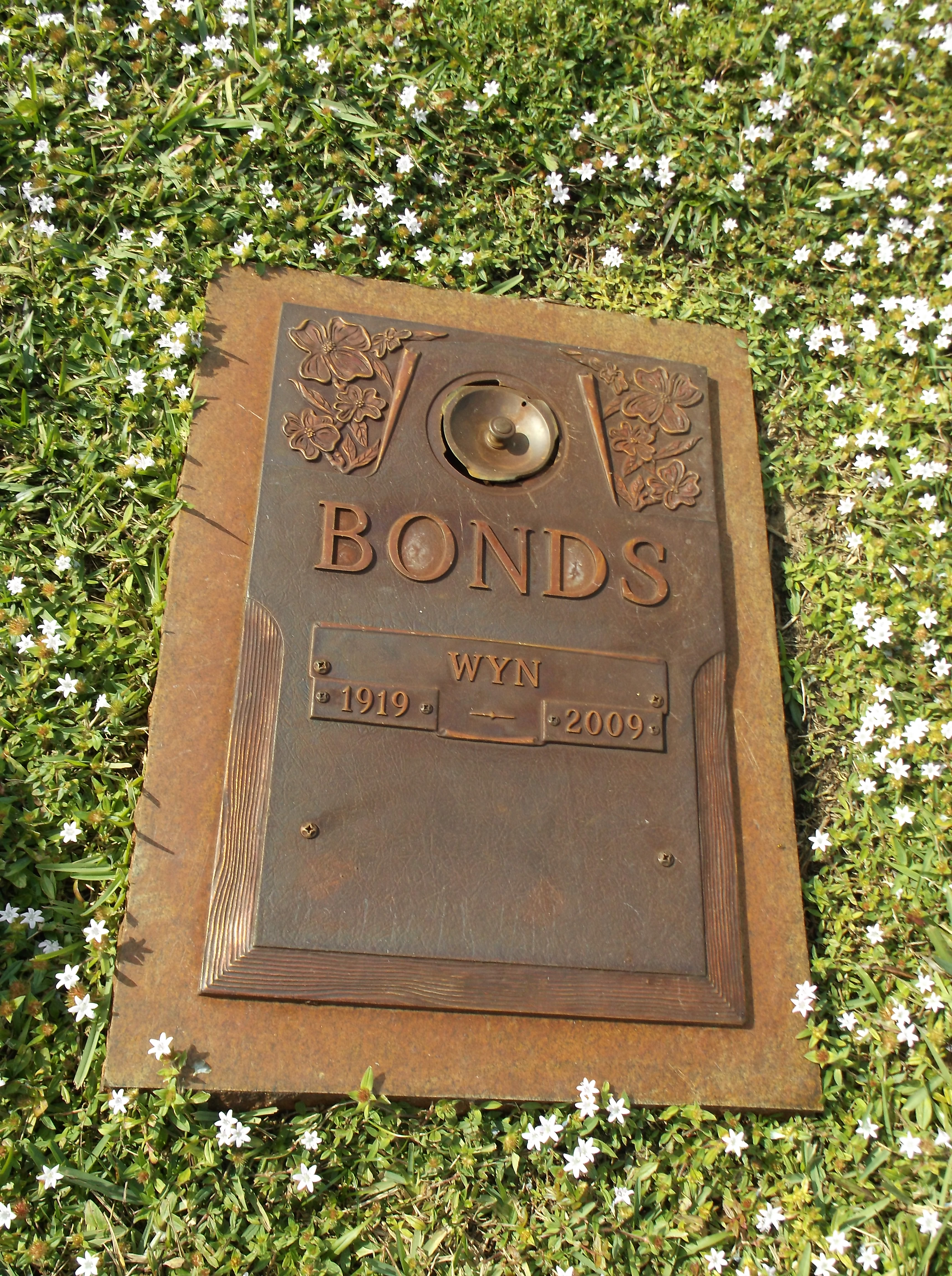 Wyn Bonds