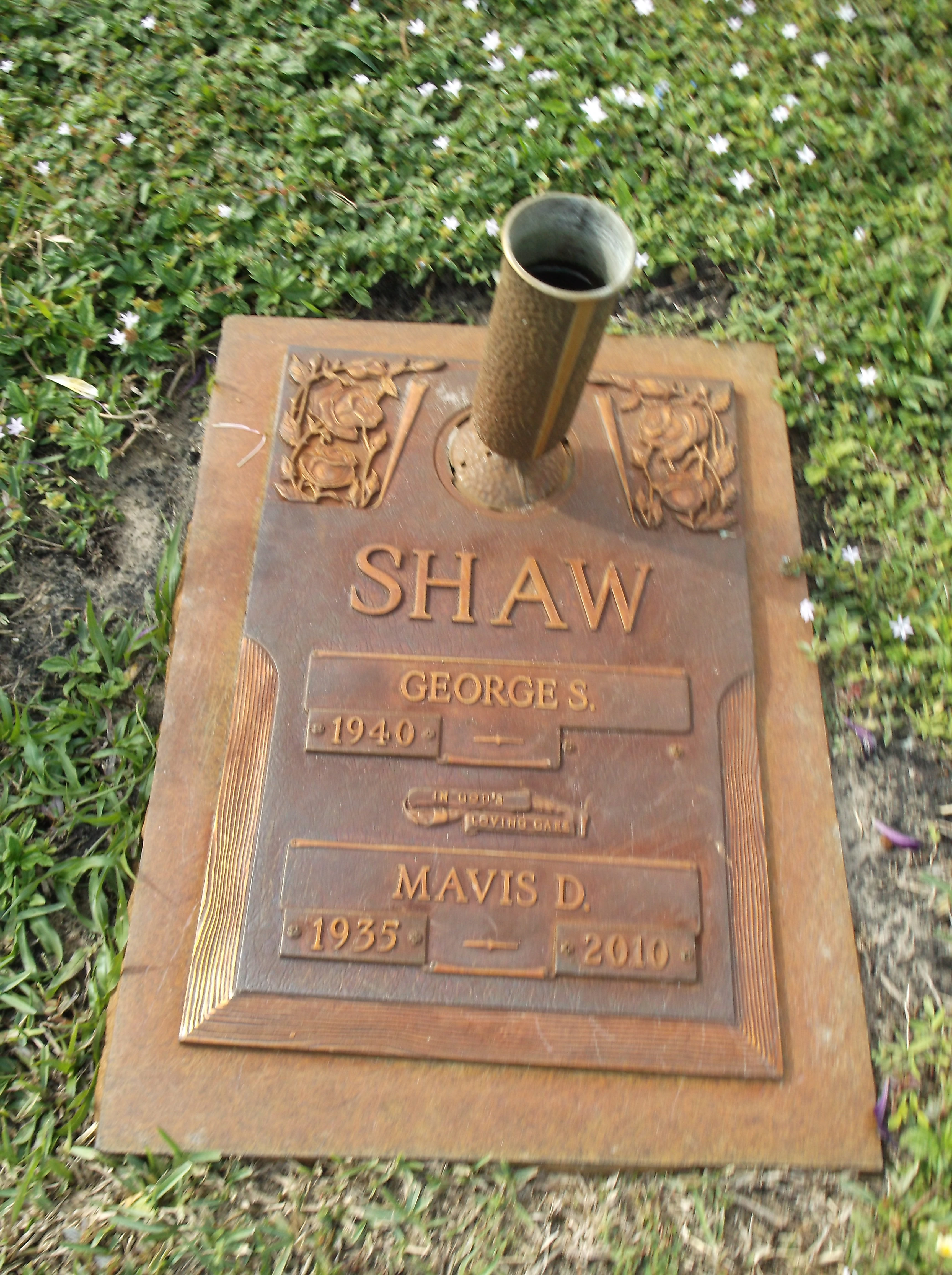 Mavis D Shaw