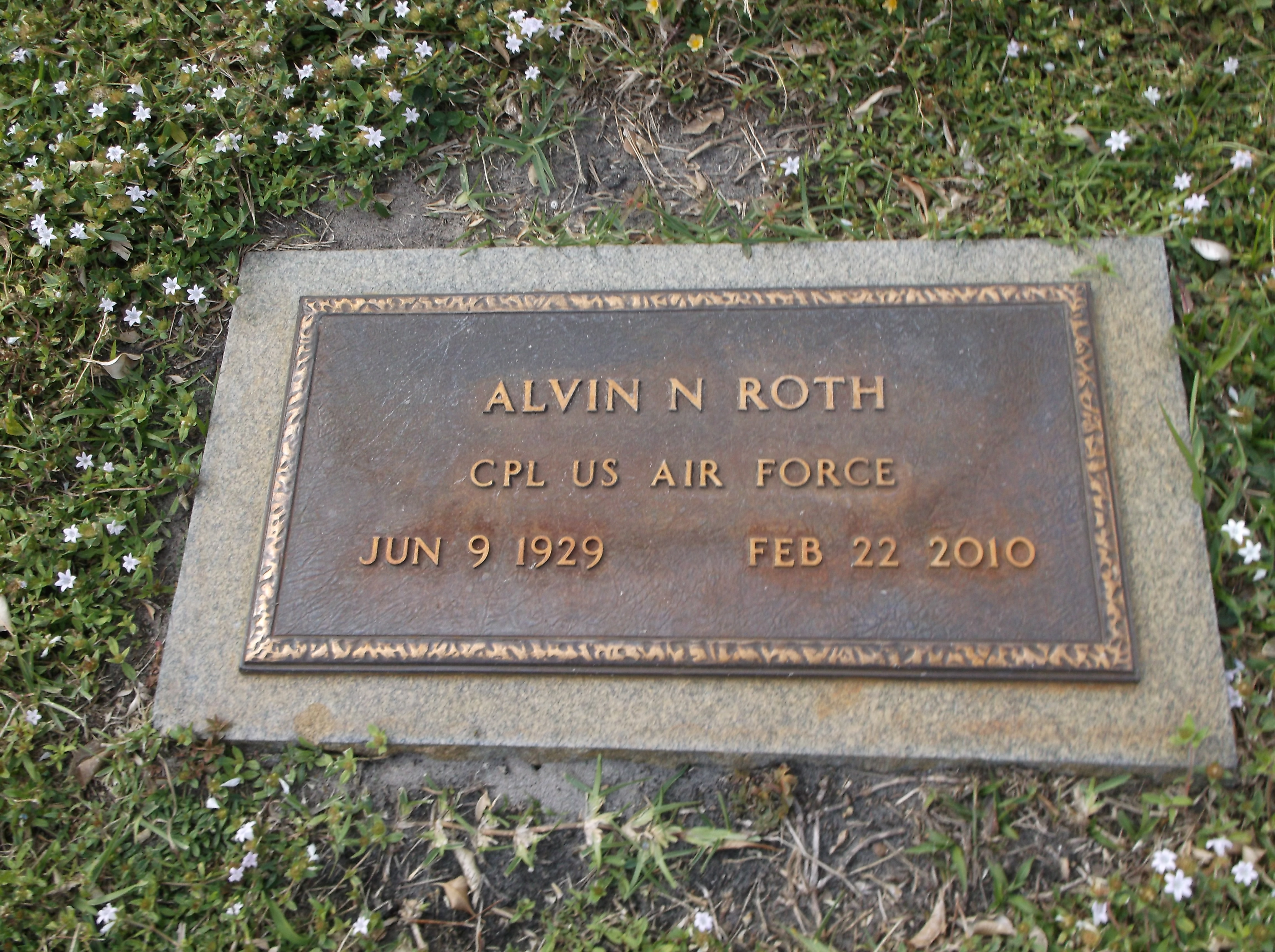 Alvin N Roth