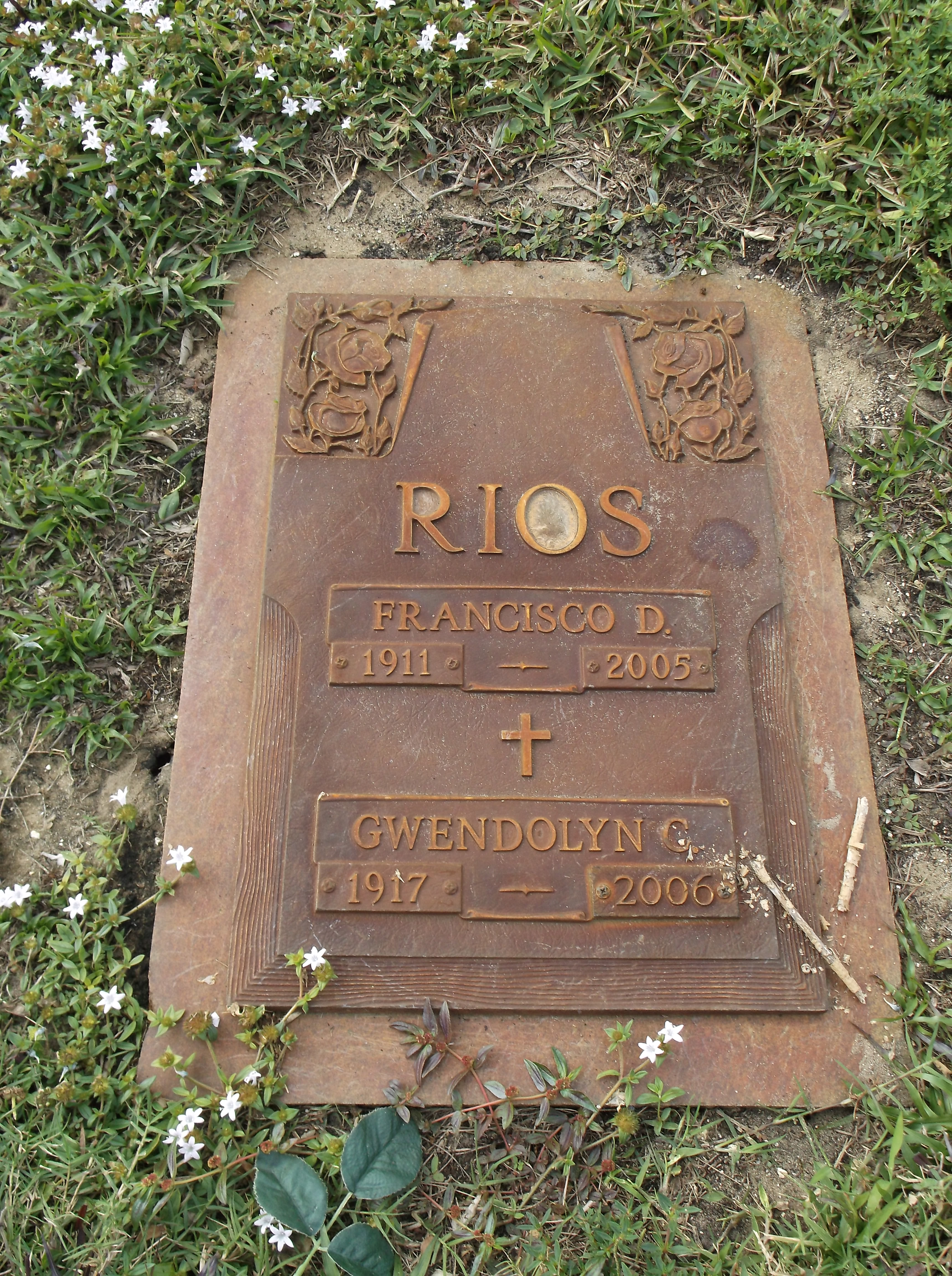 Francisco D Rios