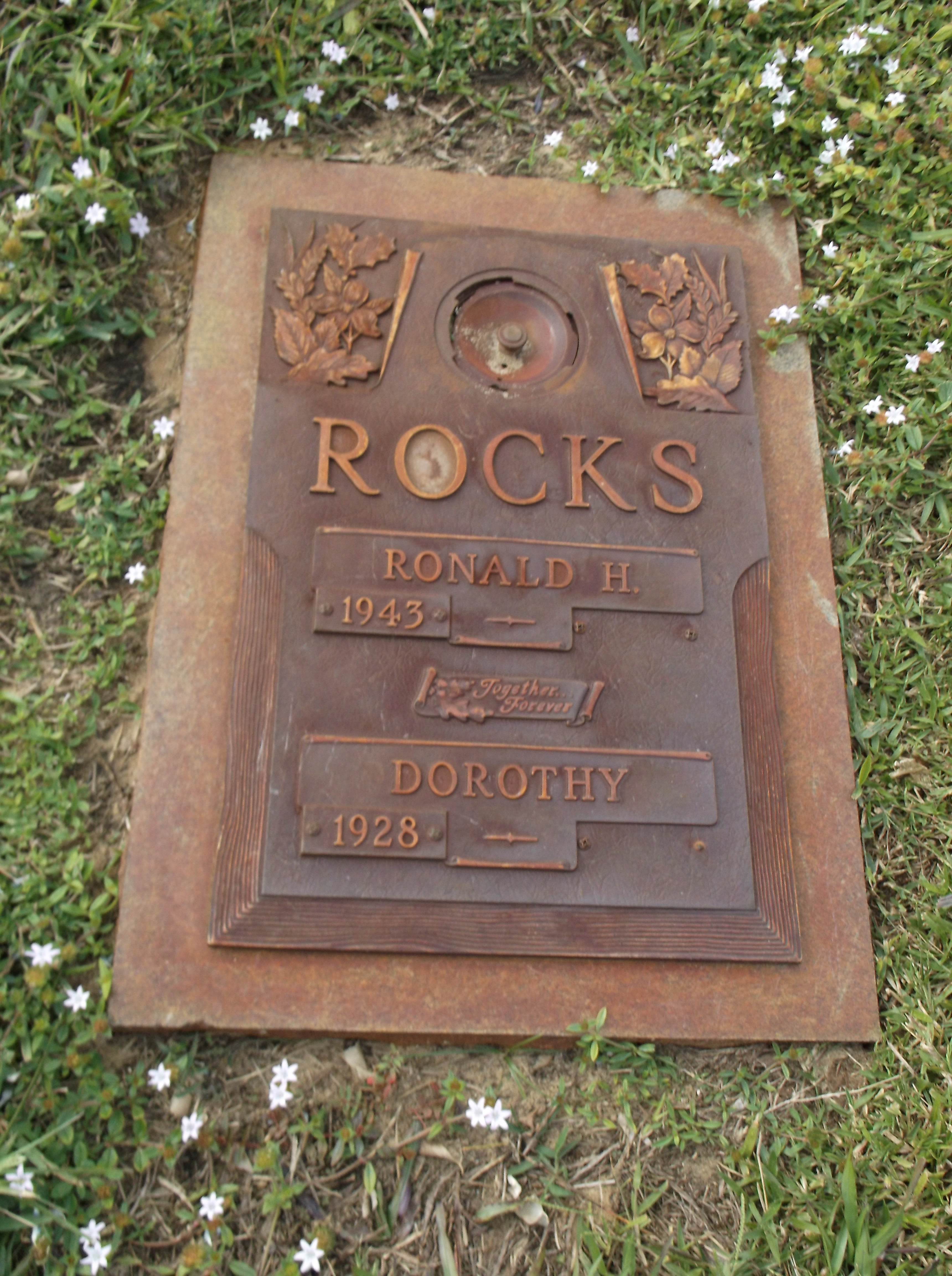 Dorothy Rocks