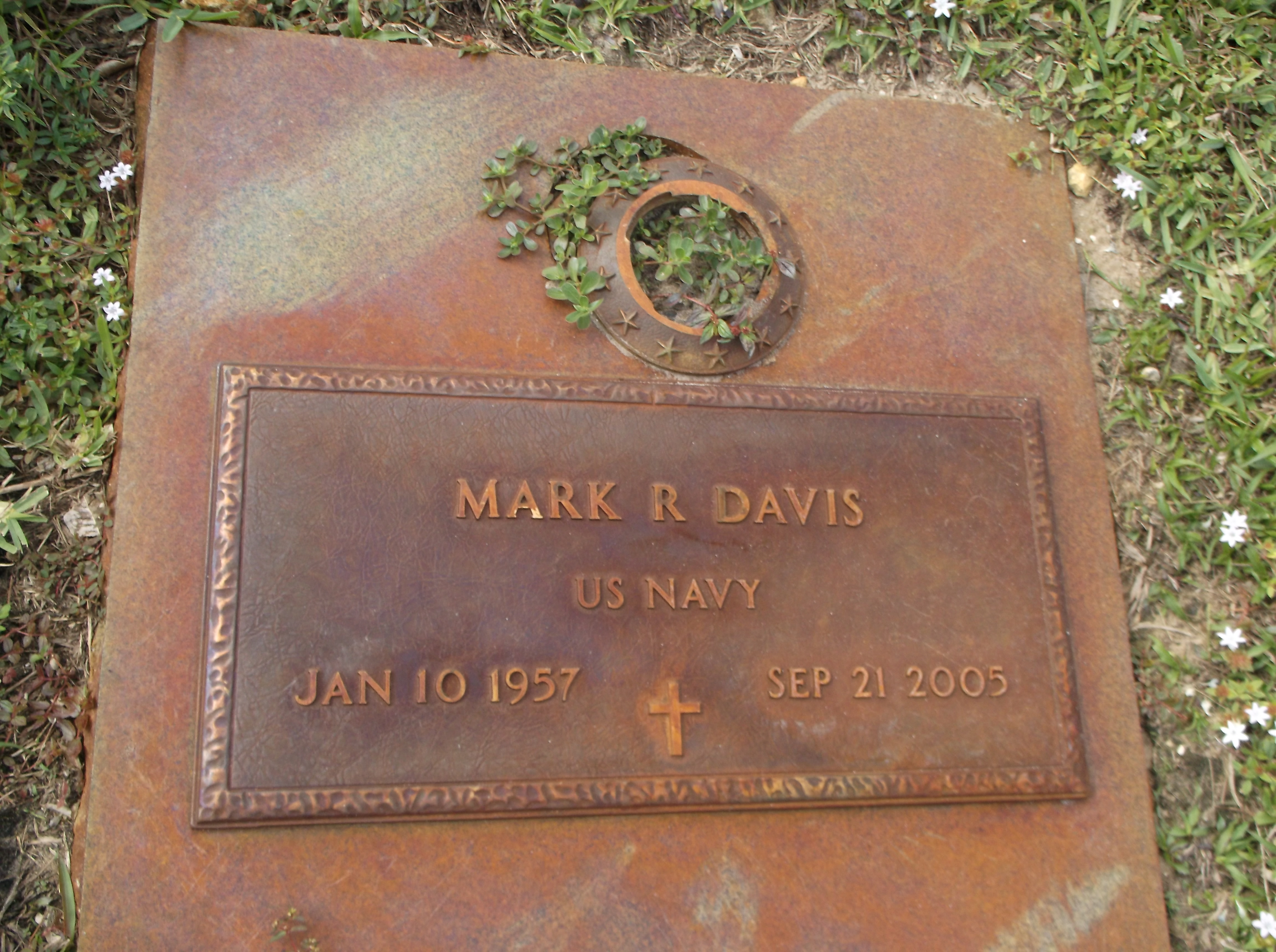 Mark R Davis