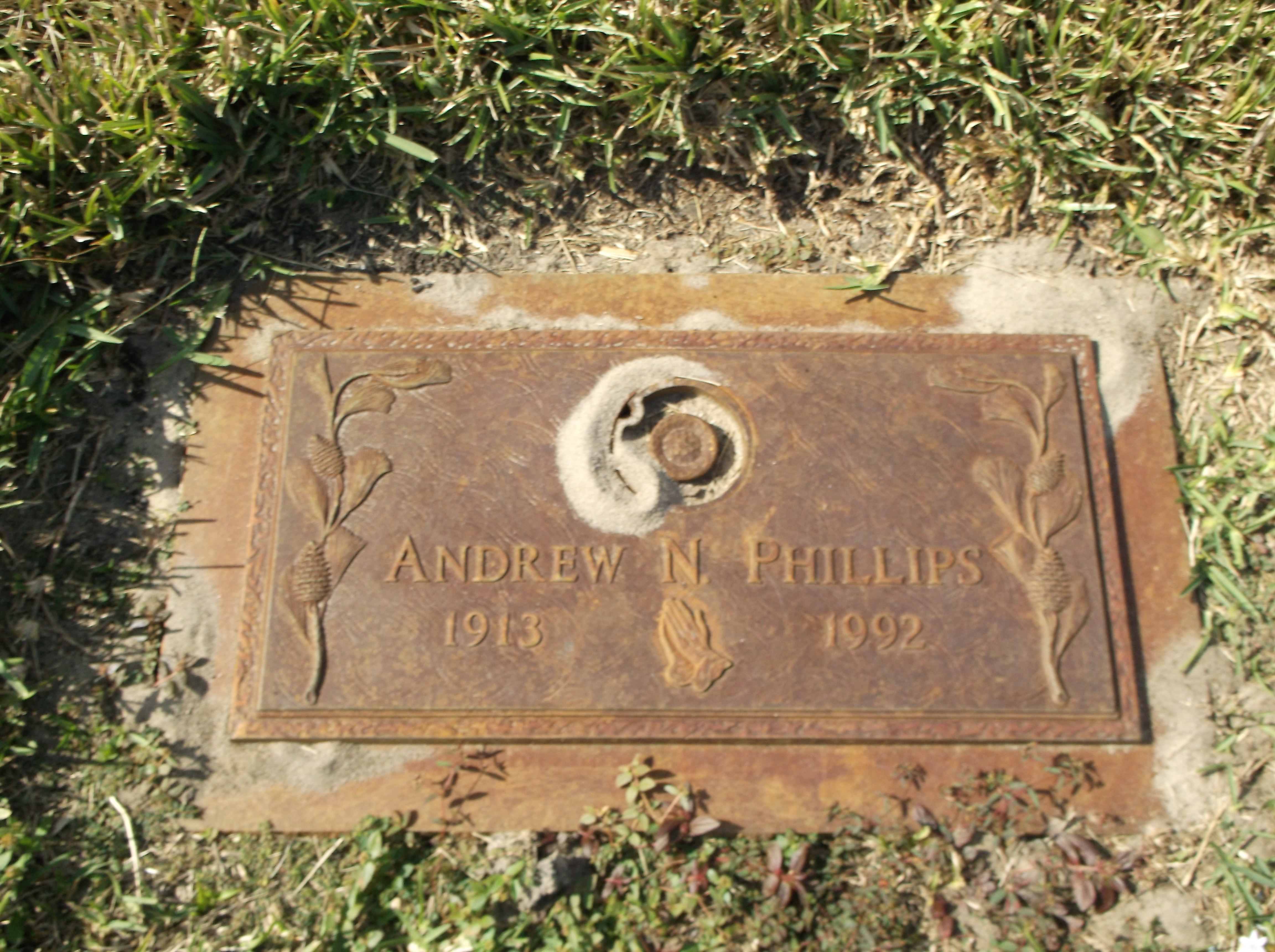 Andrew N Phillips
