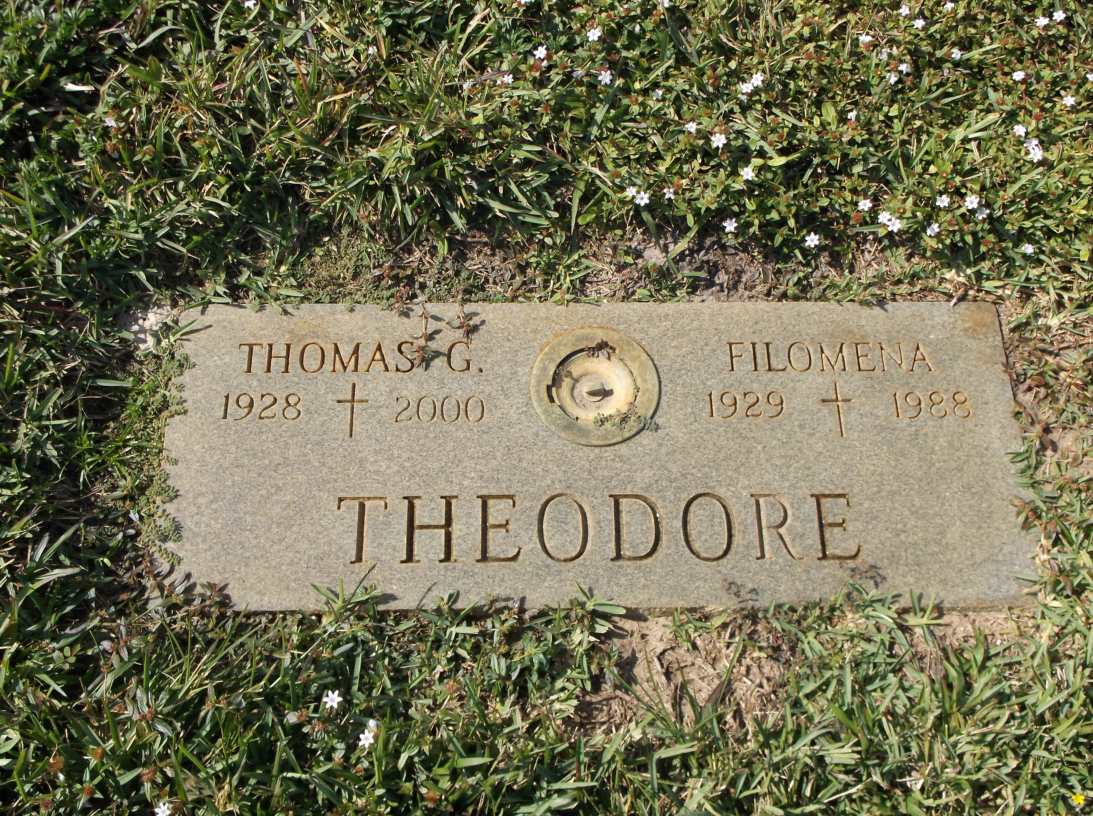 Thomas G Theodore