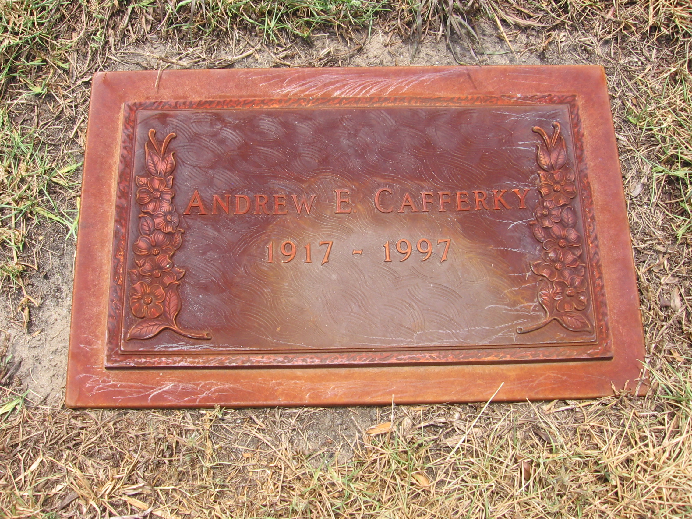 Andrew E Cafferky