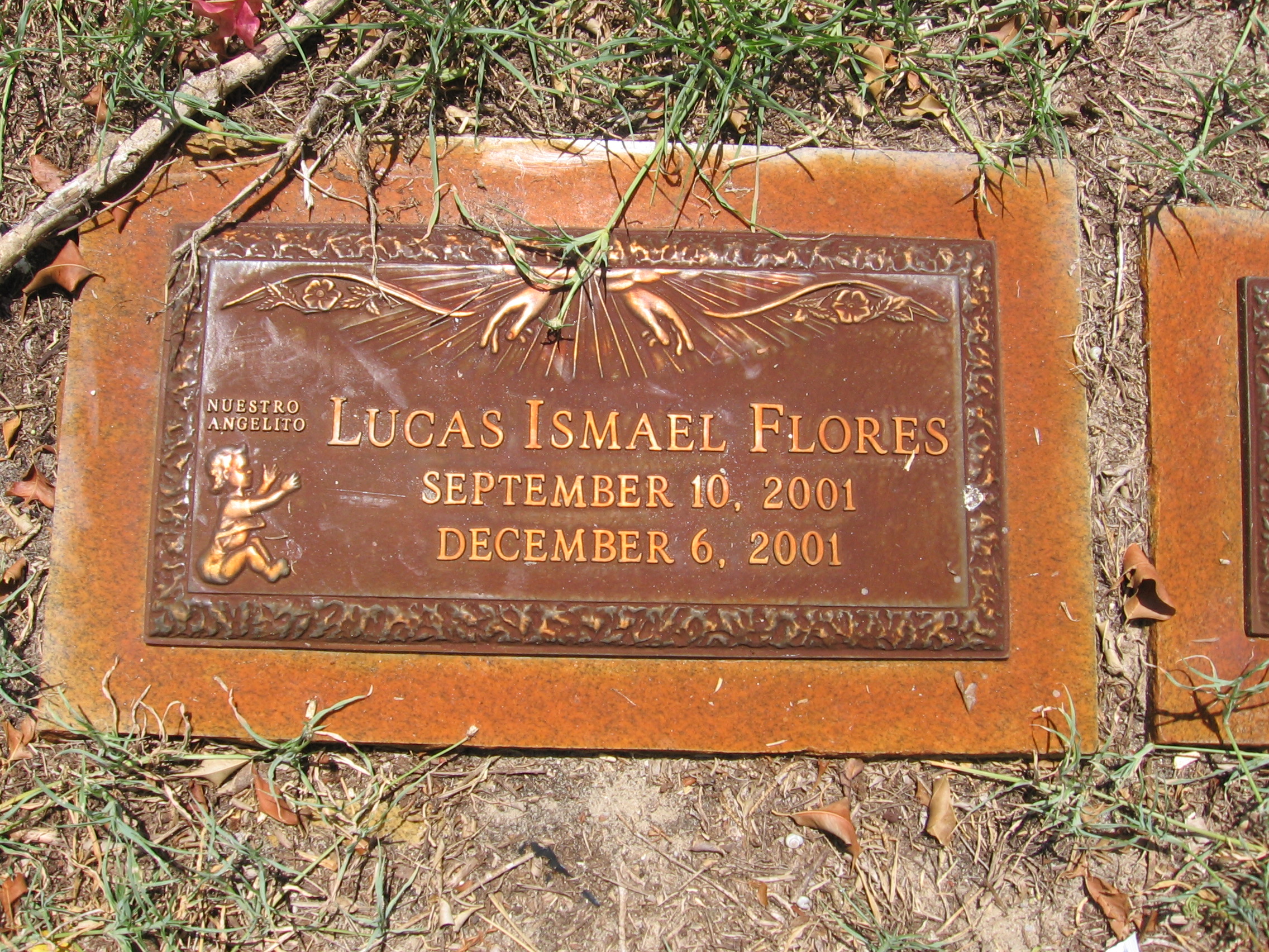 Lucas Ismael Flores