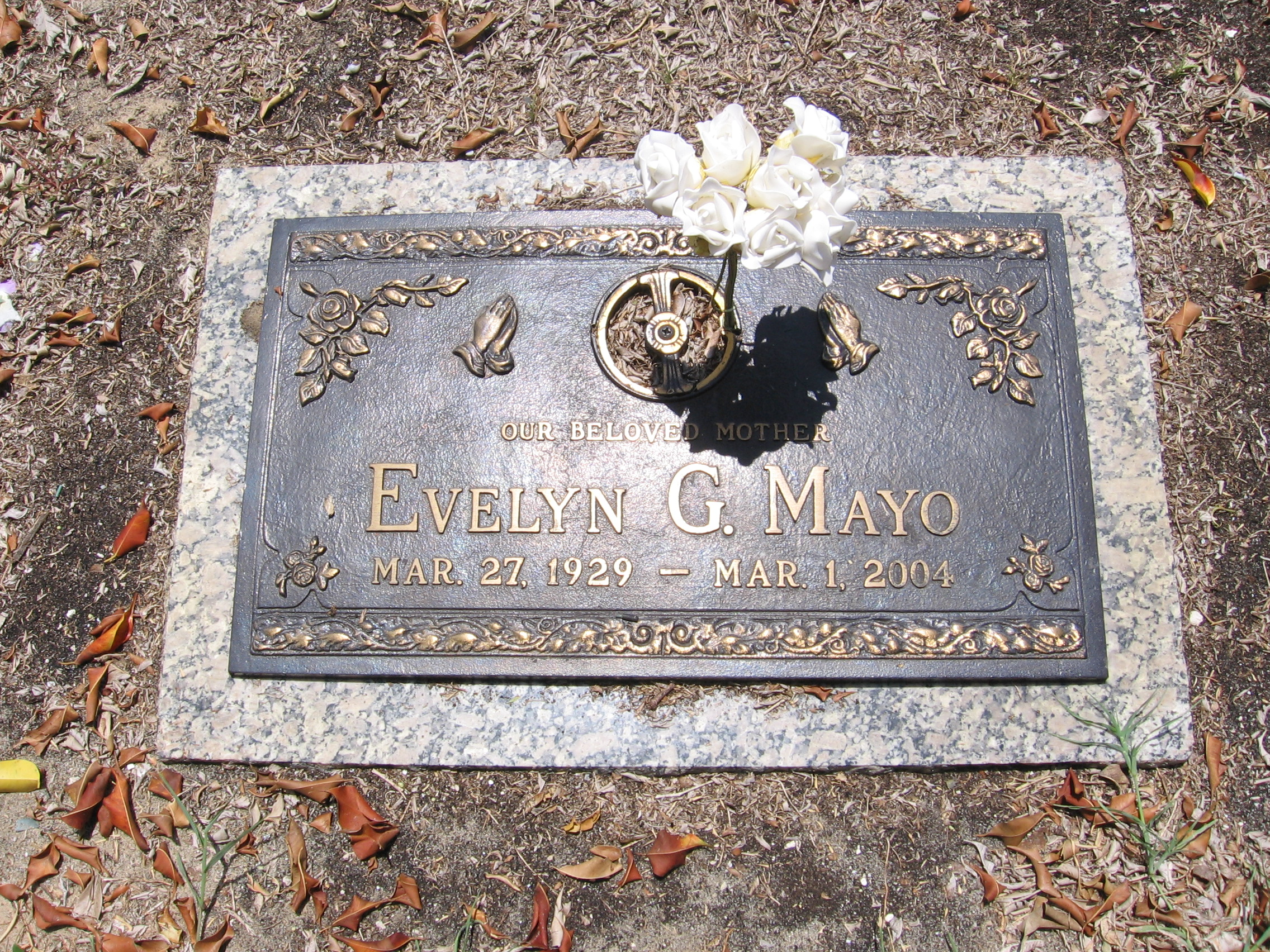 Evelyn G Mayo