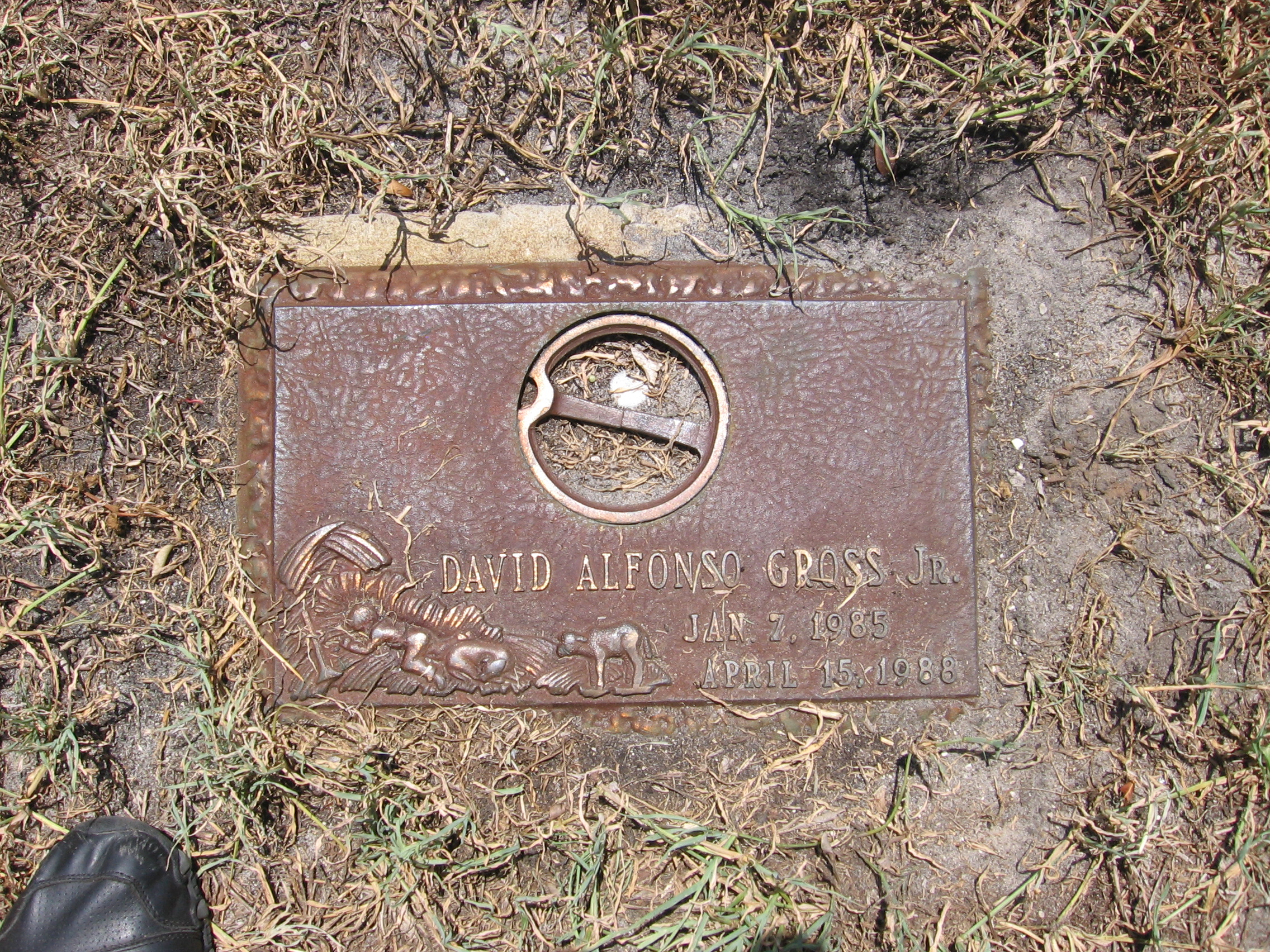David Alfonso Gross, Jr