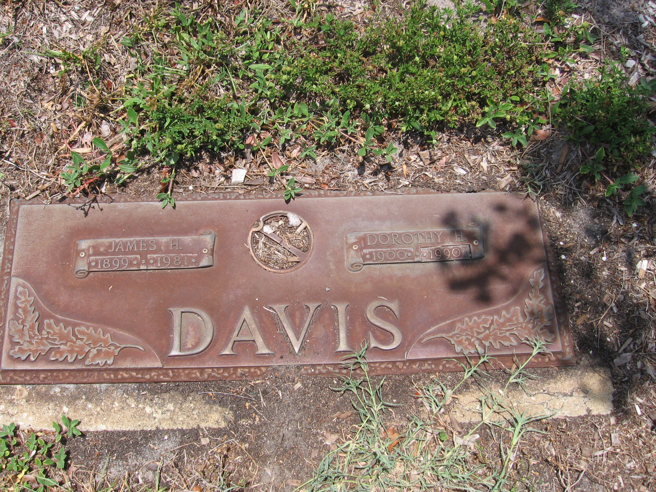 James H Davis