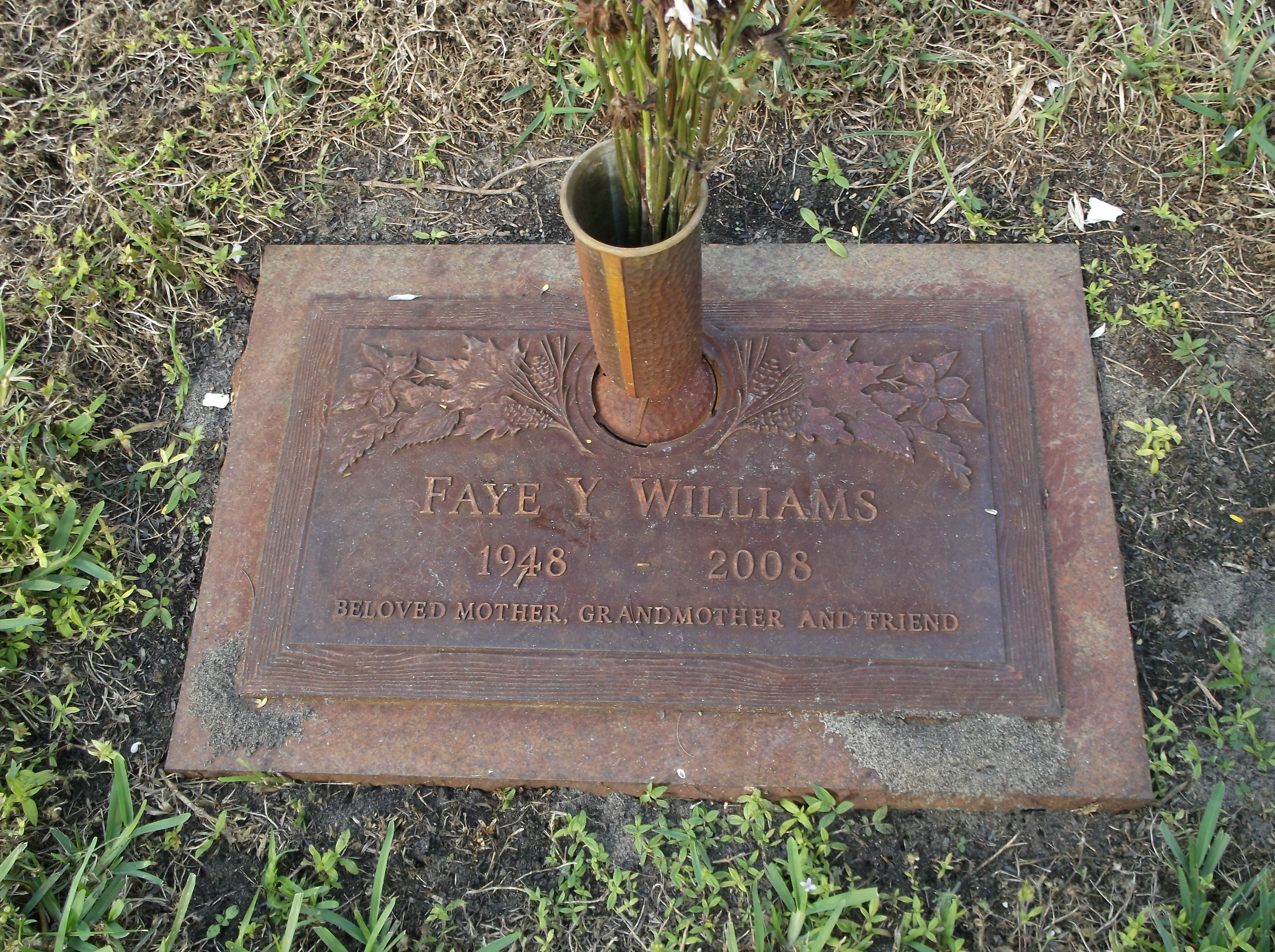 Faye Y Williams
