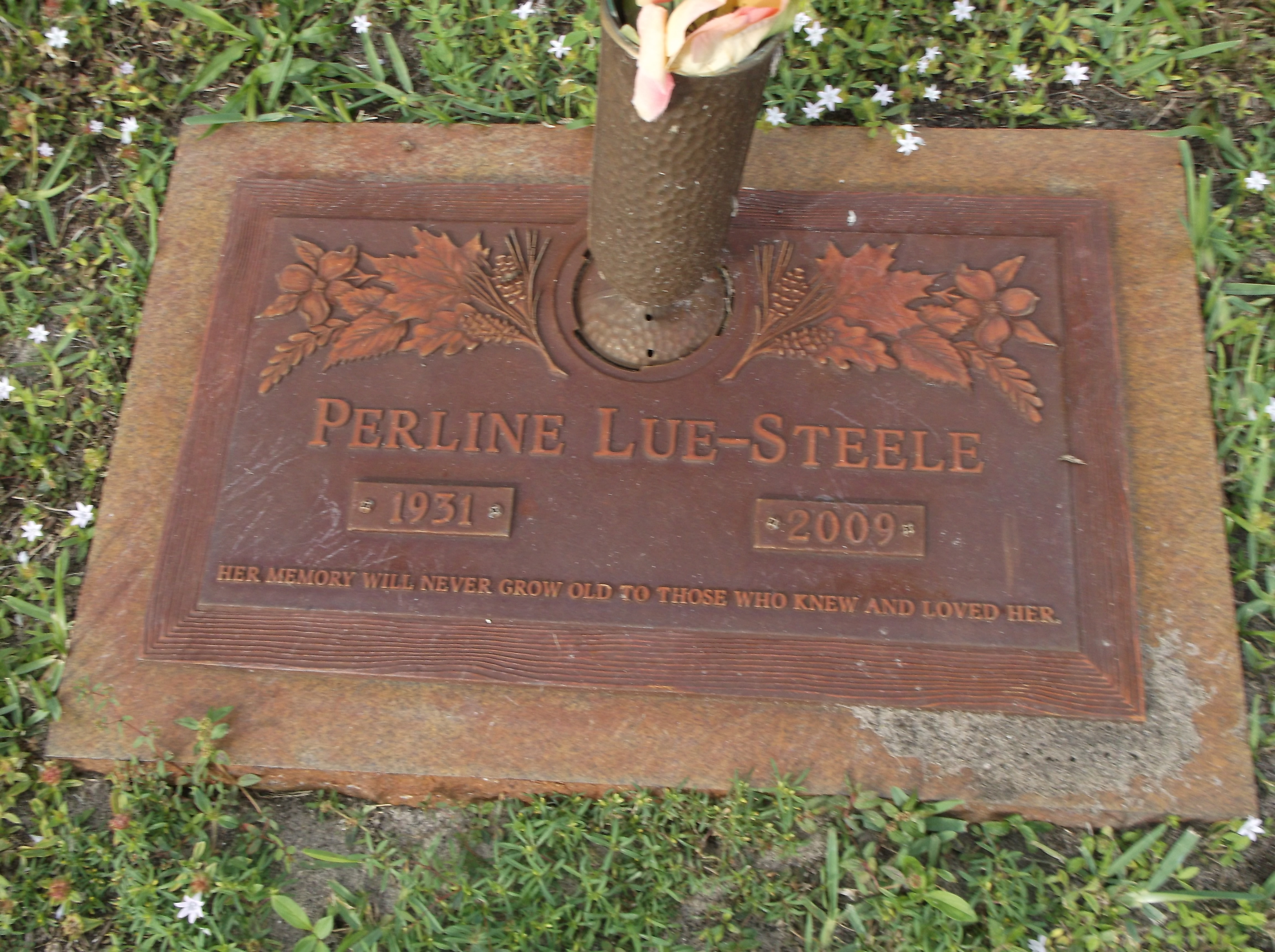 Perline Lue-Steele