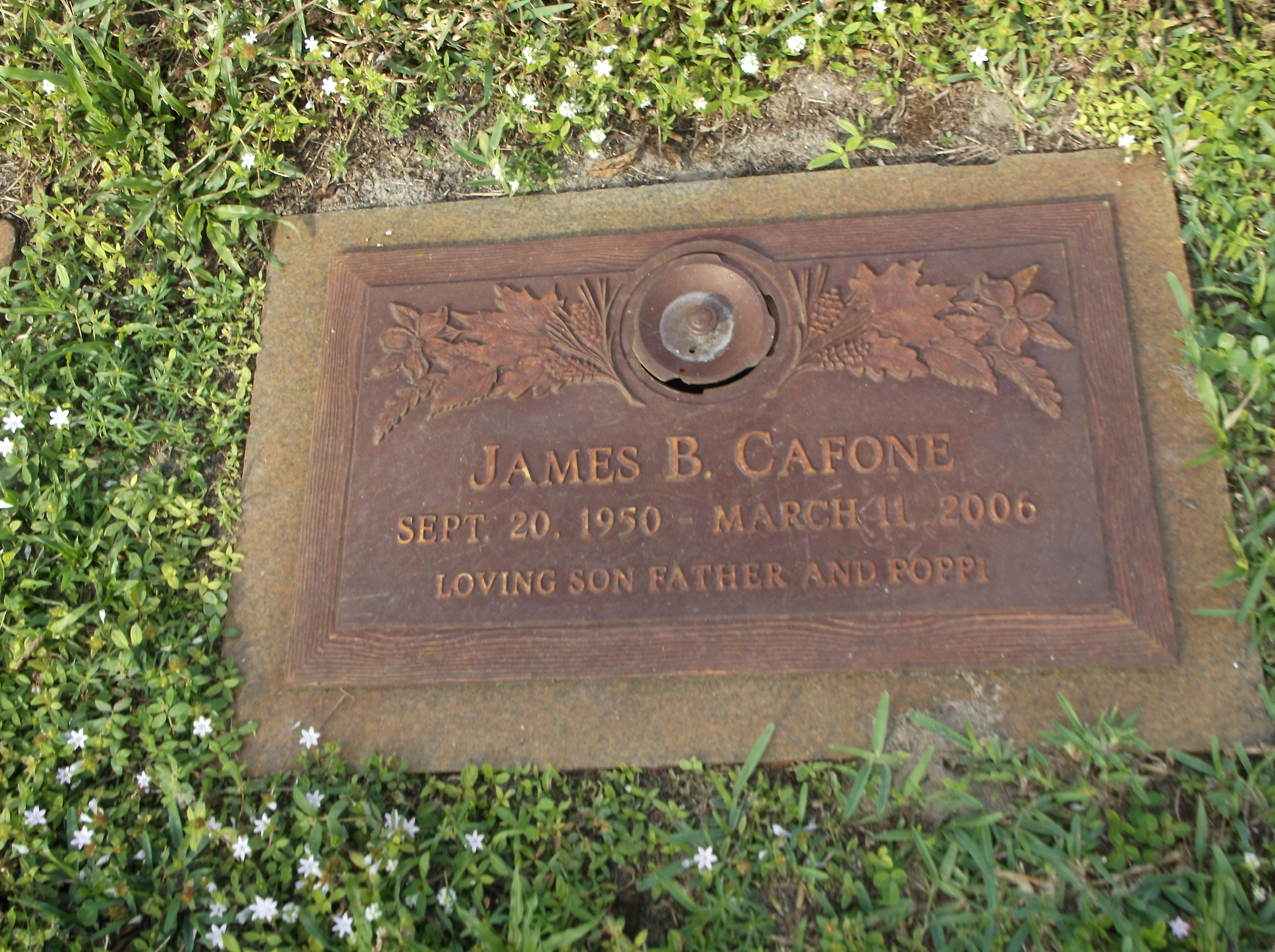 James B Cafone