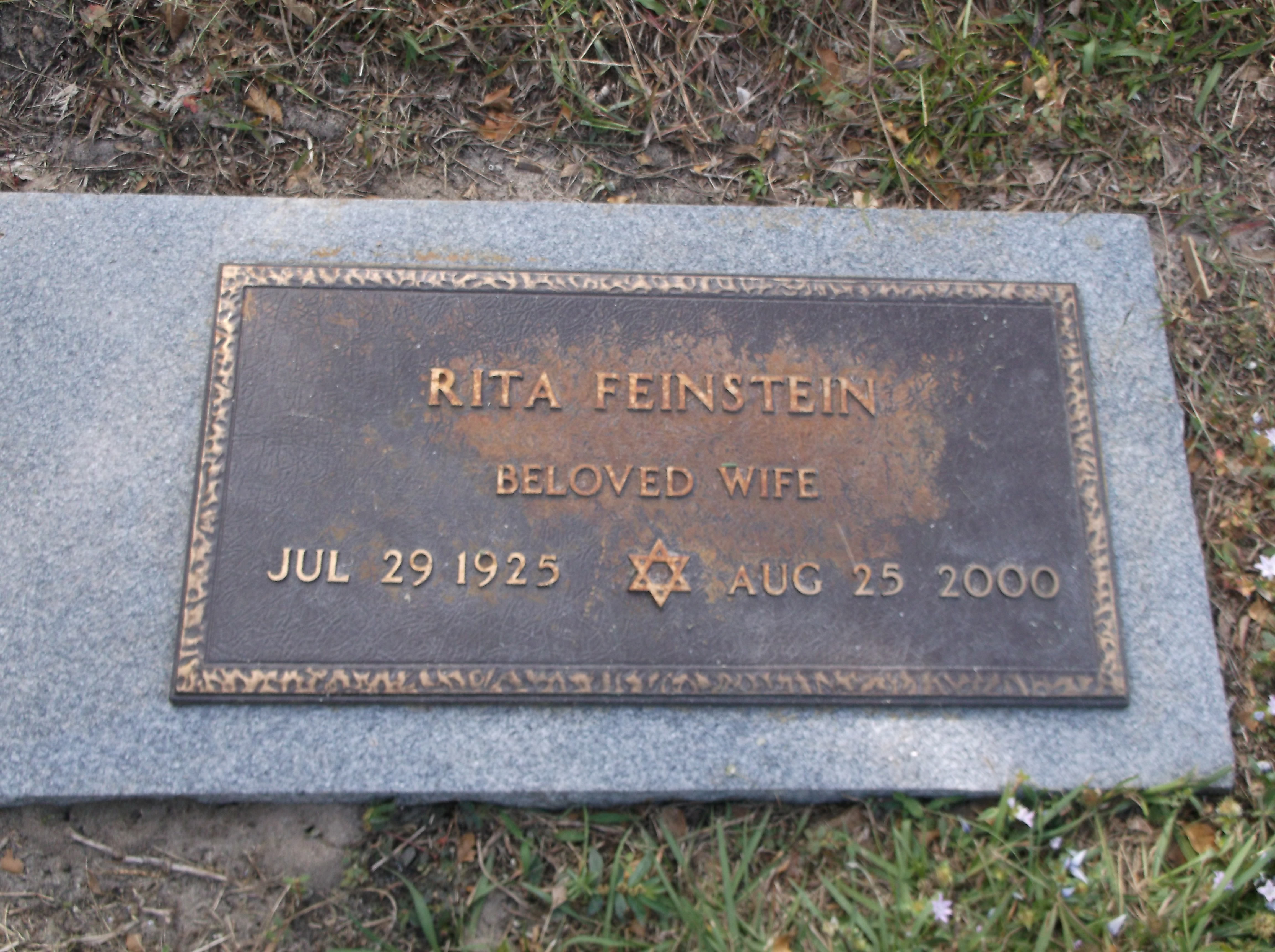 Rita Feinstein