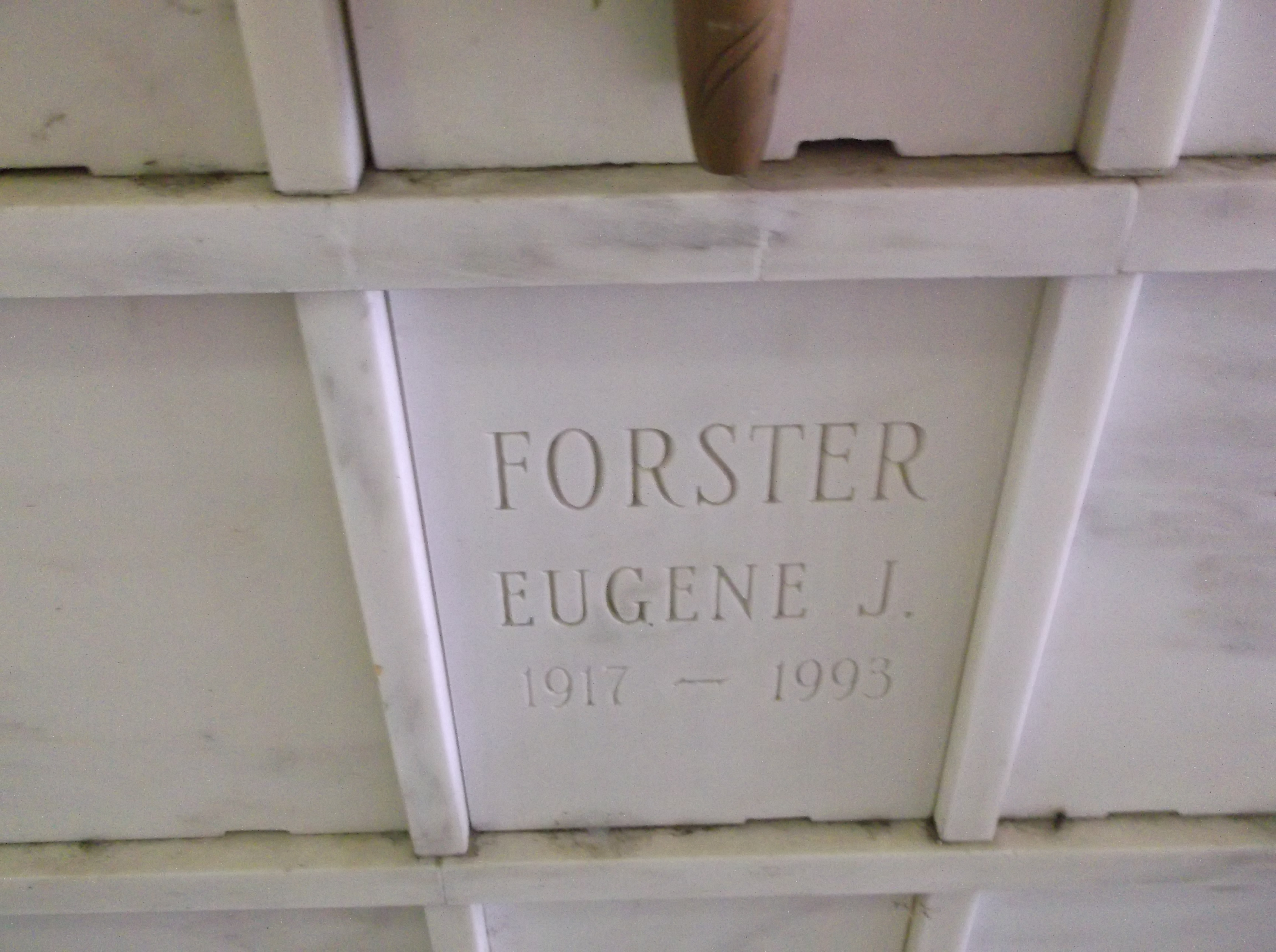 Eugene J Forster