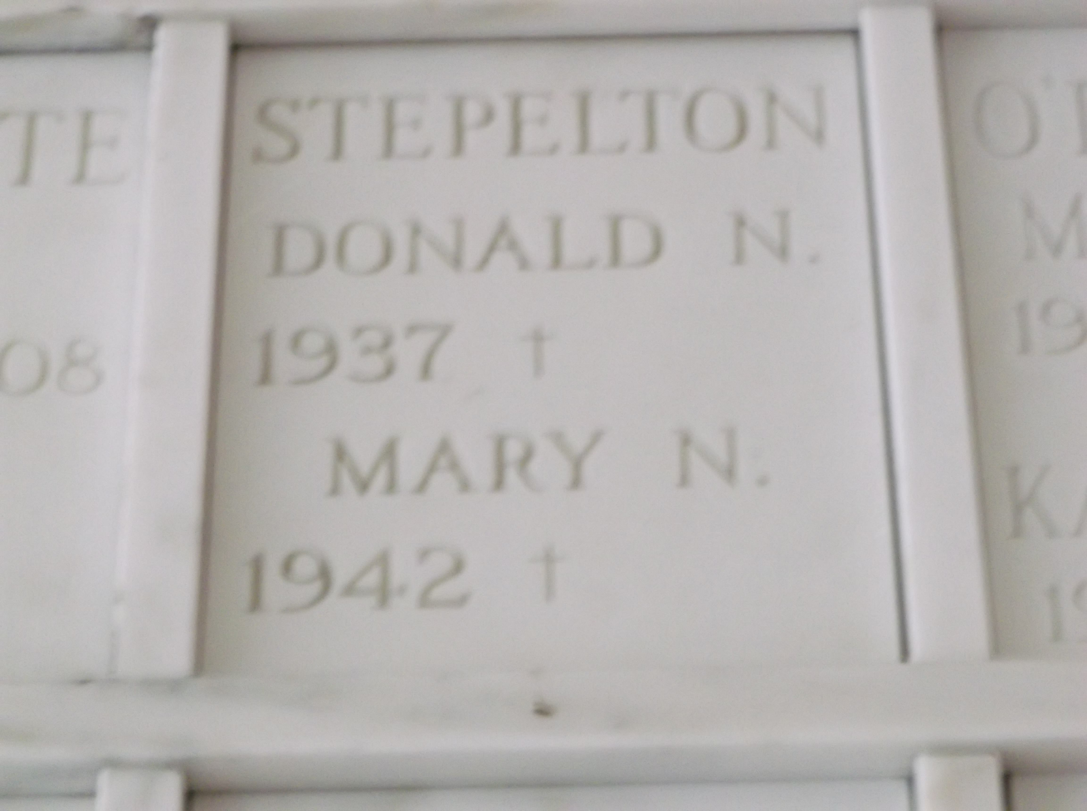 Mary N Stepelton