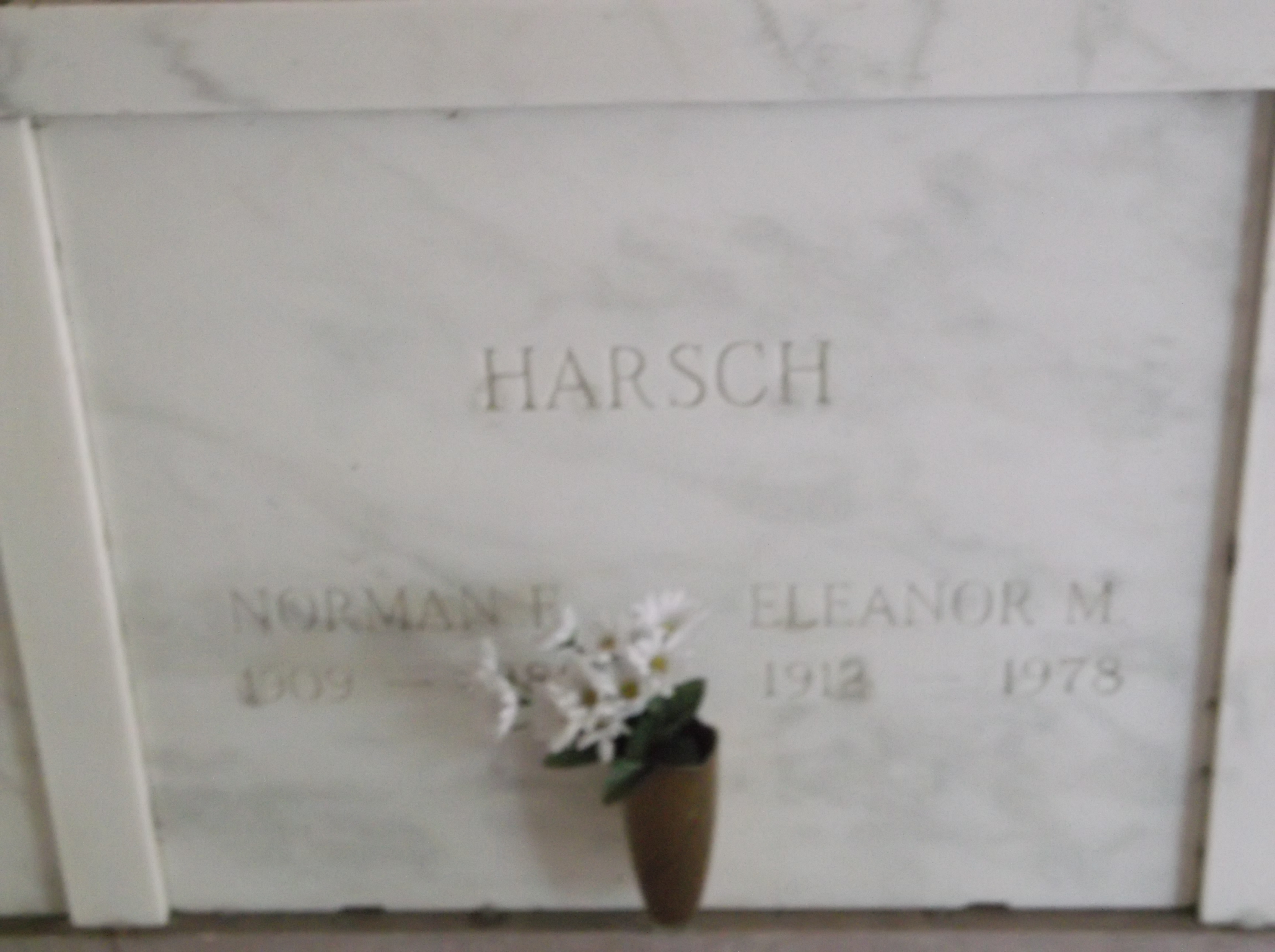 Eleanor M Harsch