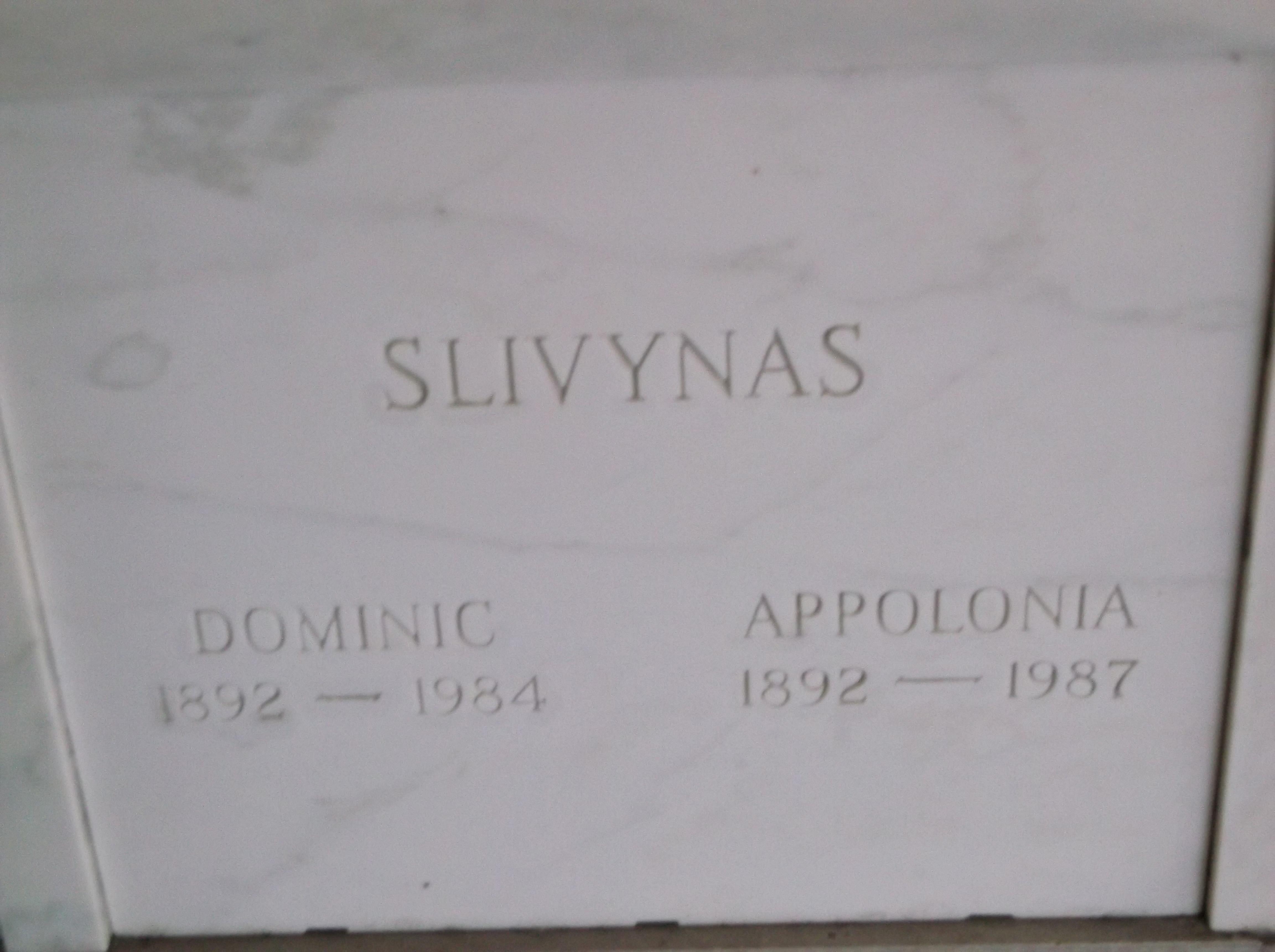 Dominic Slivynas