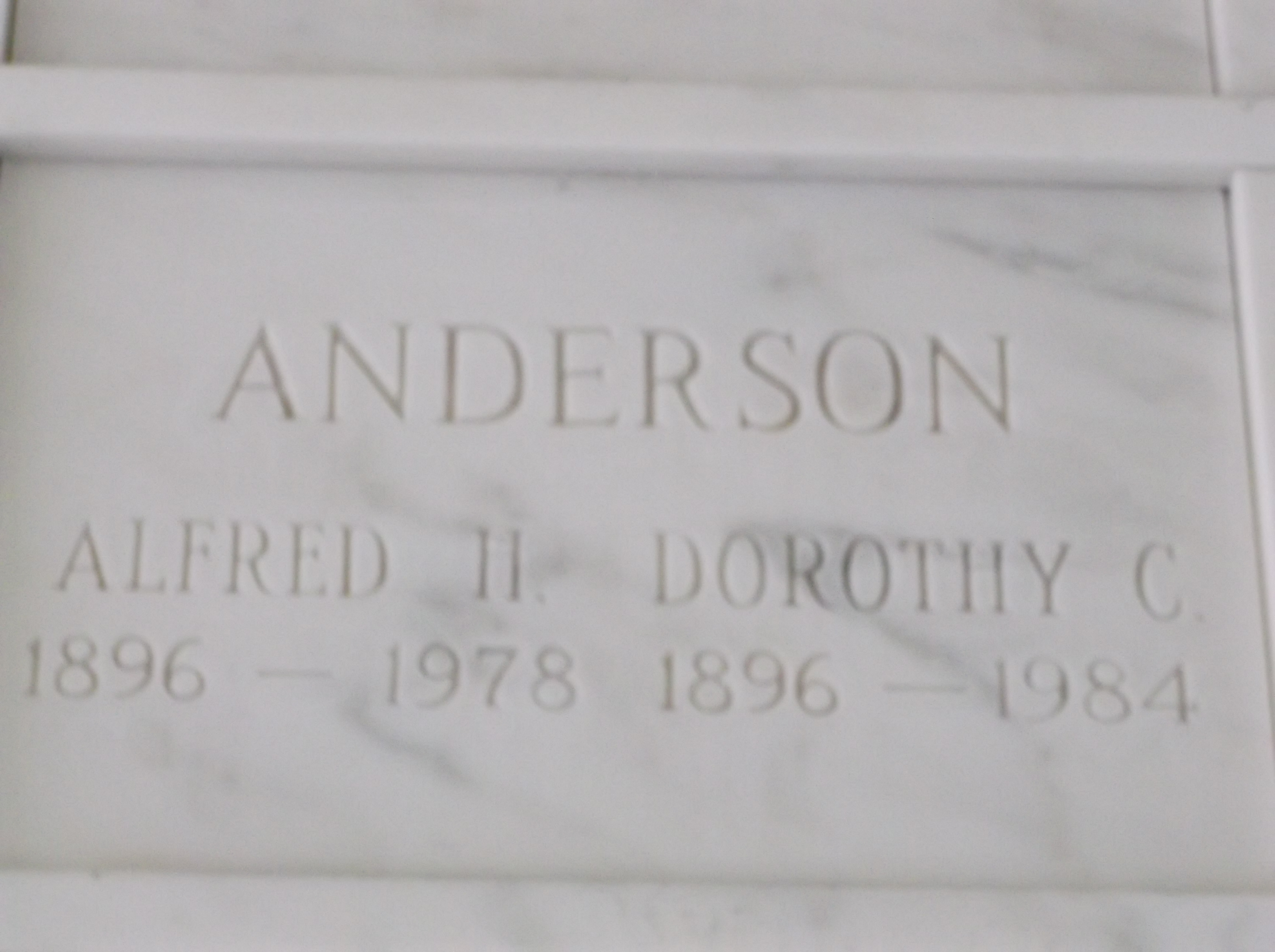 Dorothy C Anderson