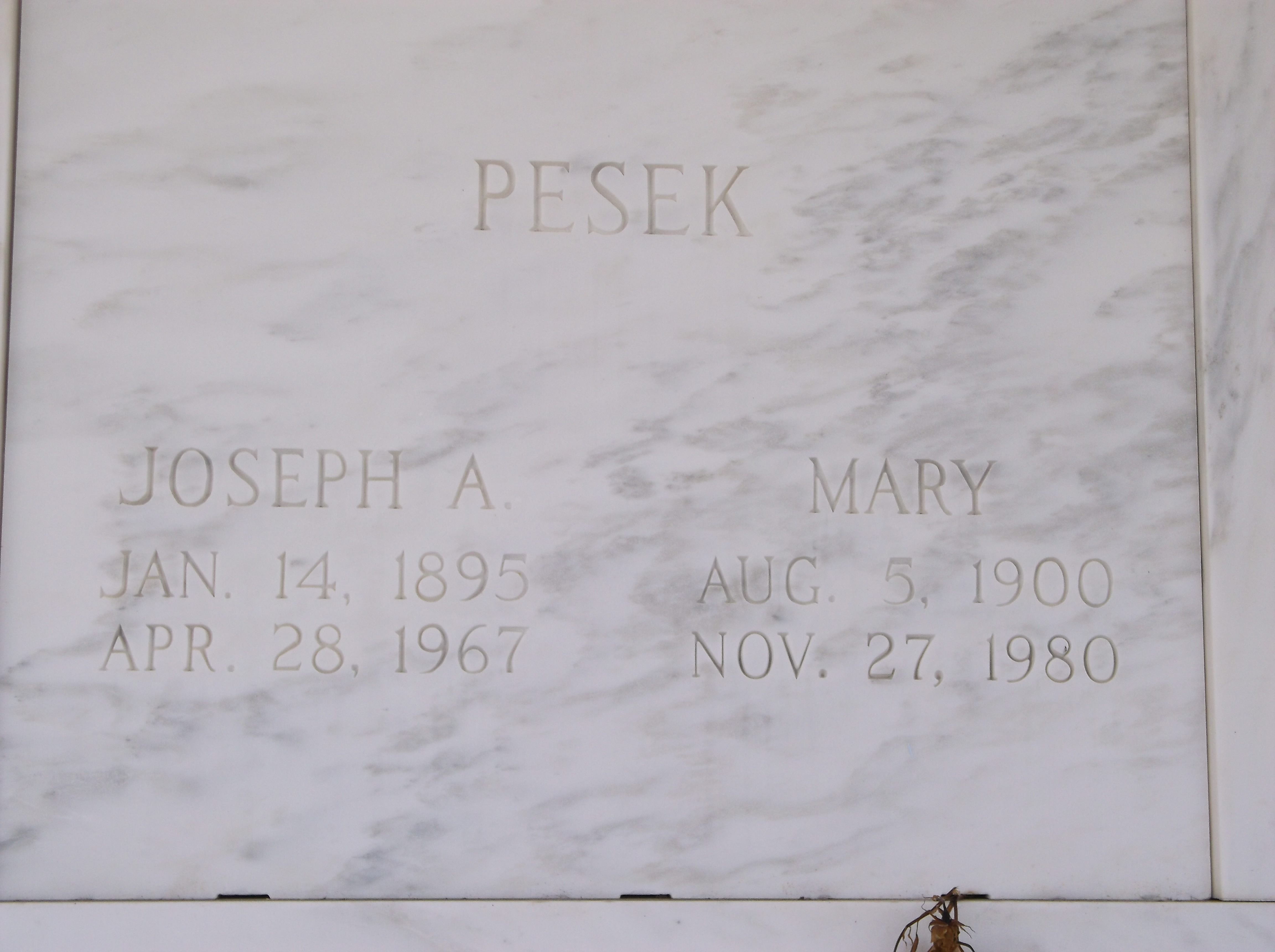 Mary Pesek