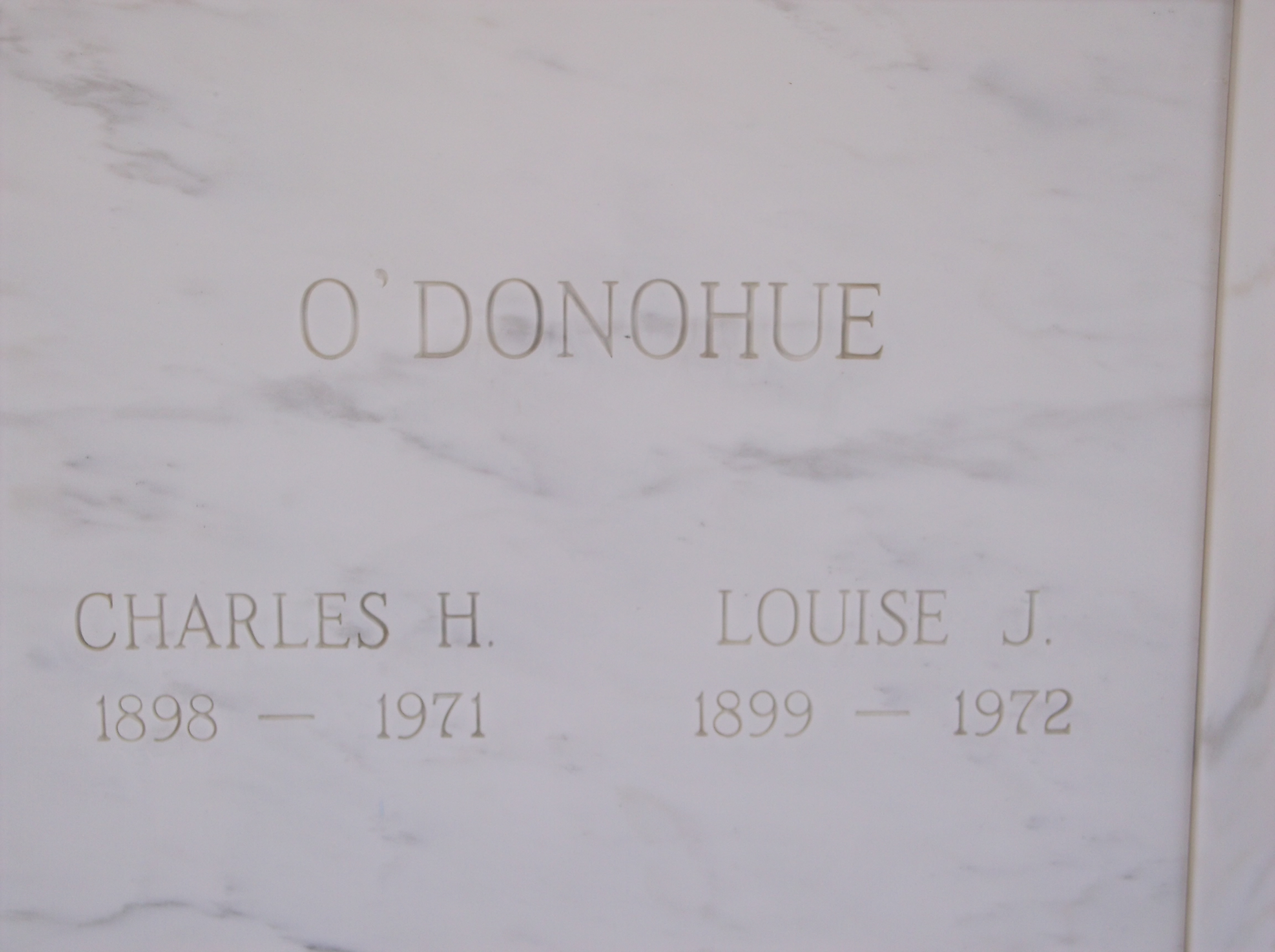 Louise J O'Donohue
