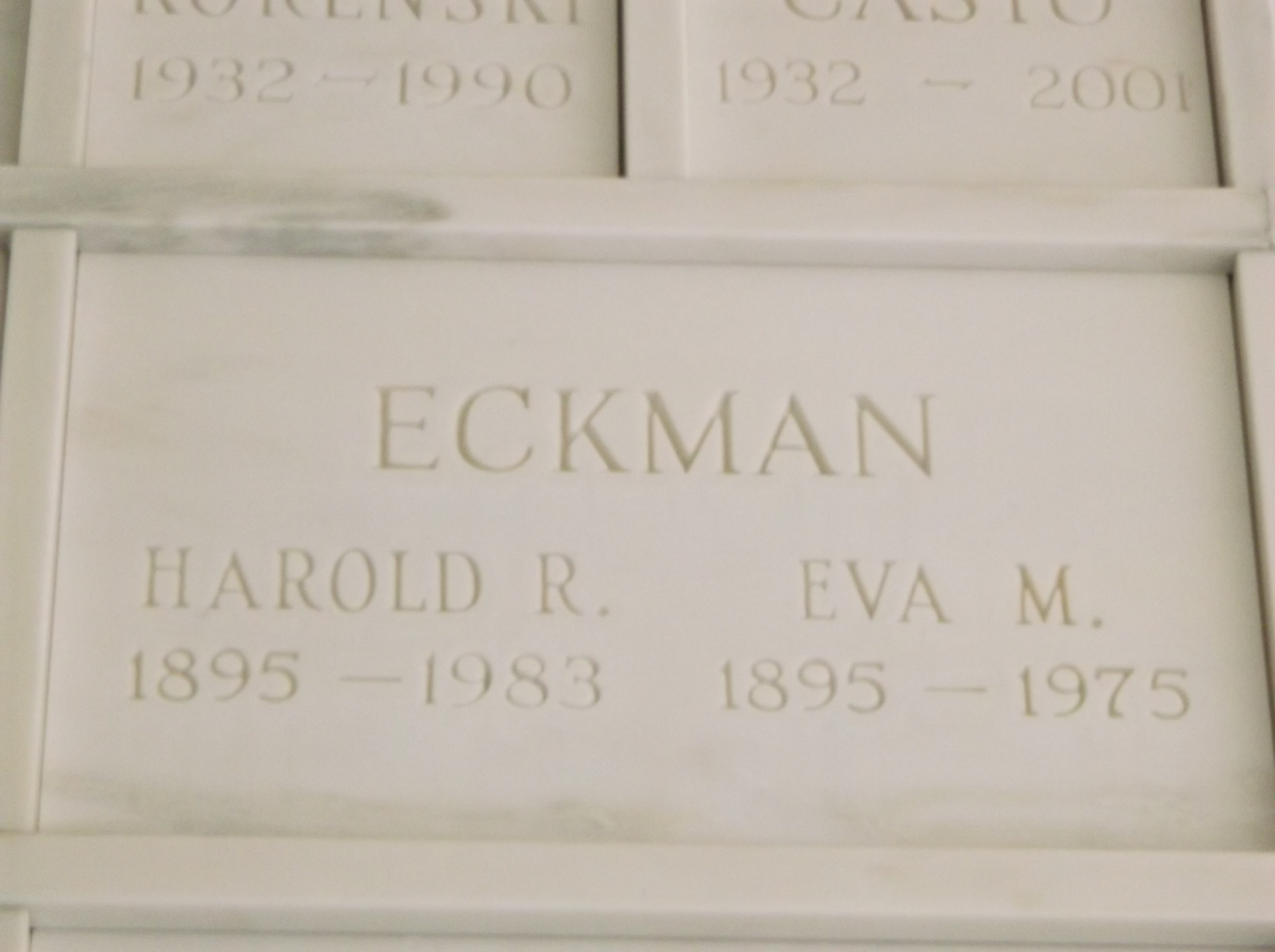 Eva M Eckman