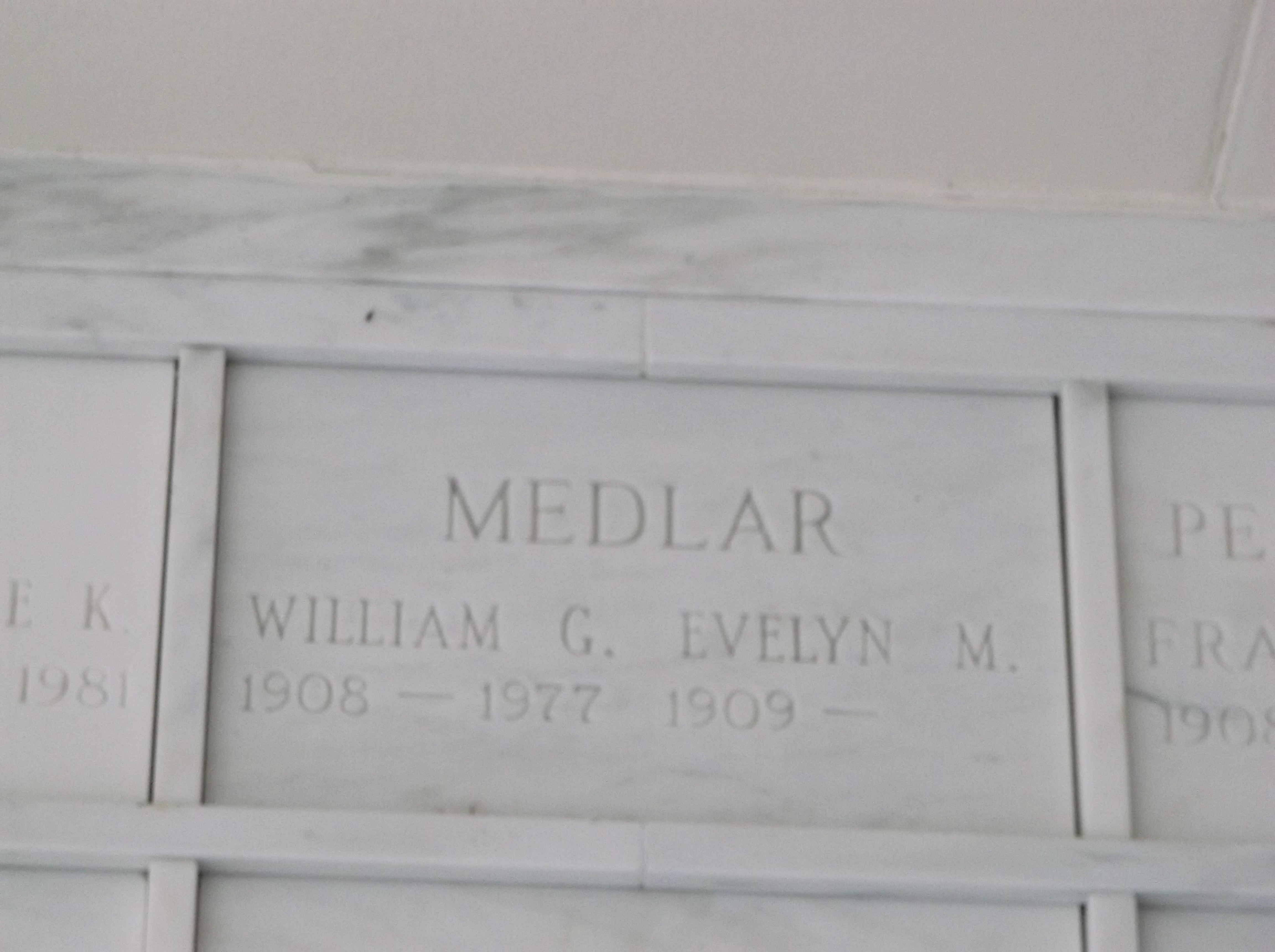 Evelyn M Medlar