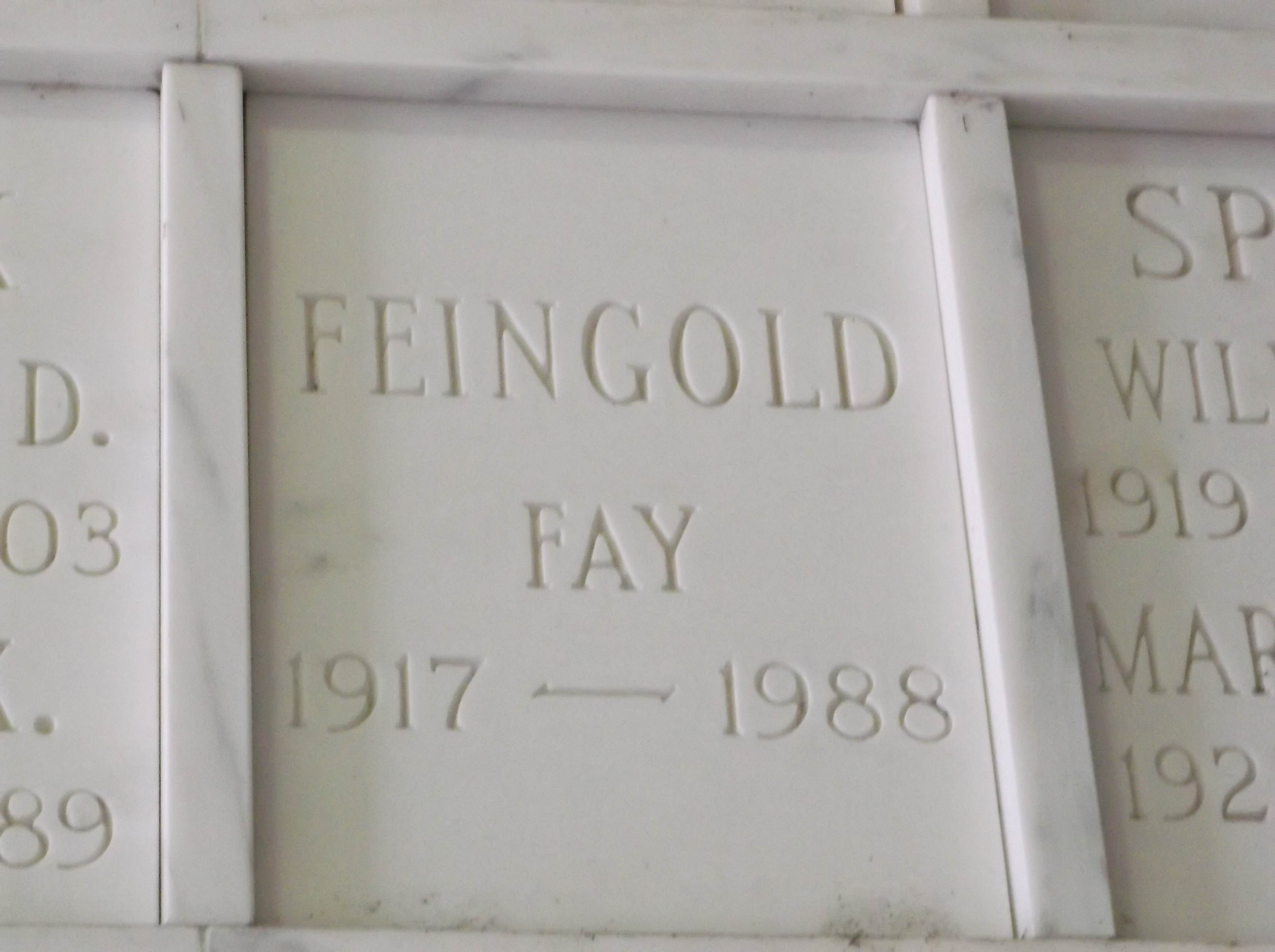 Fay Feingold