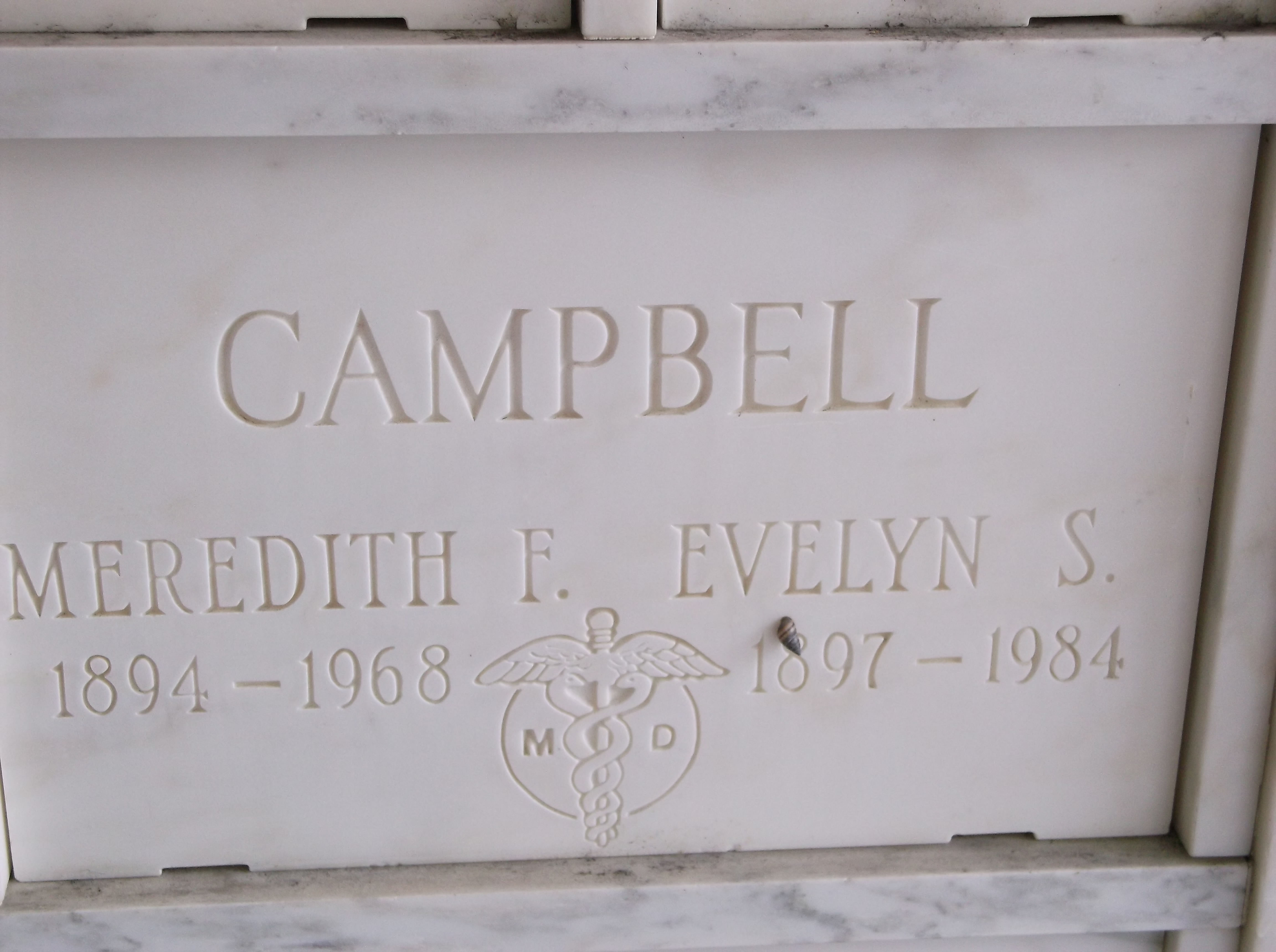 Evelyn S Campbell