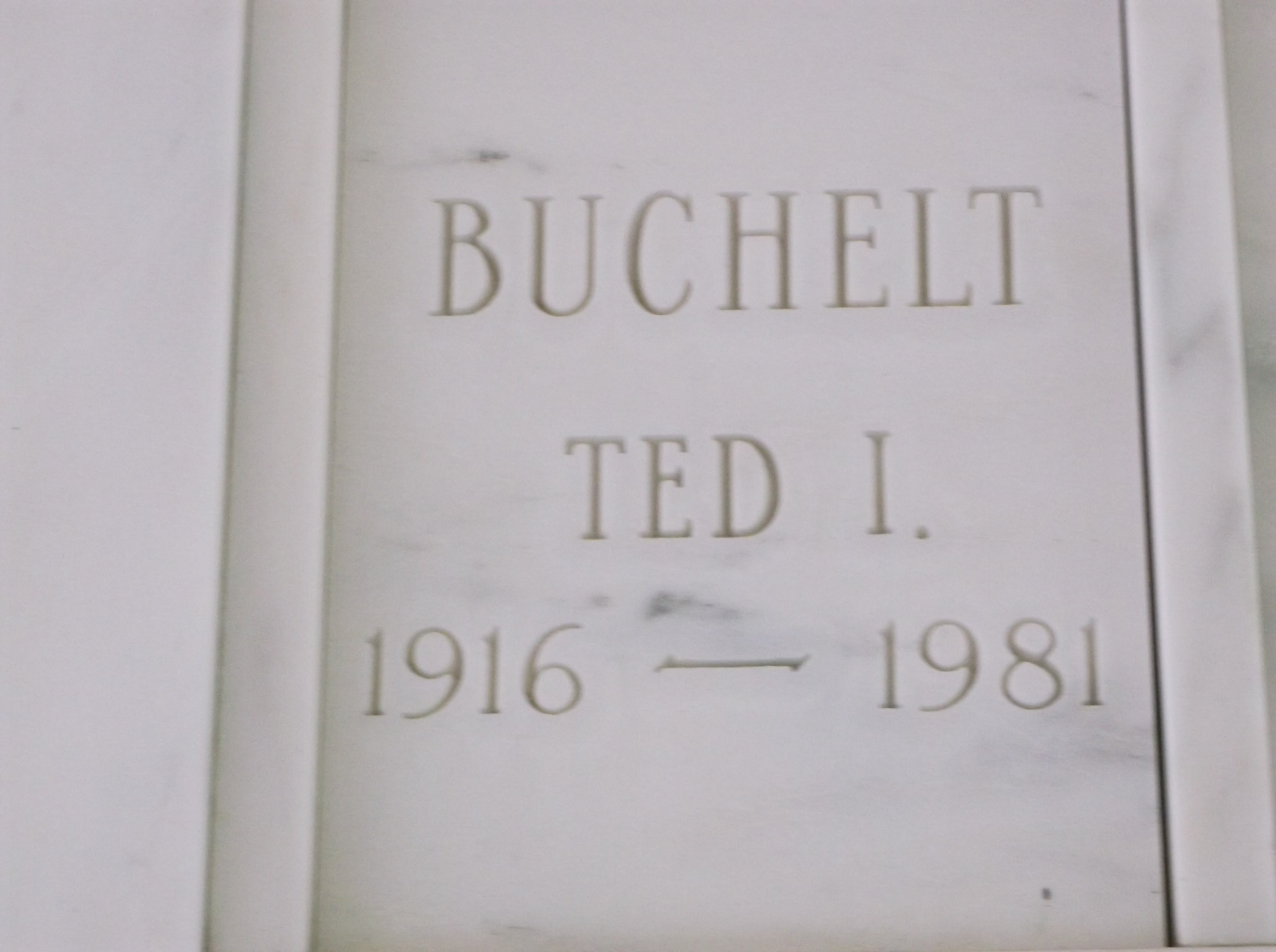 Ted I Buchelt