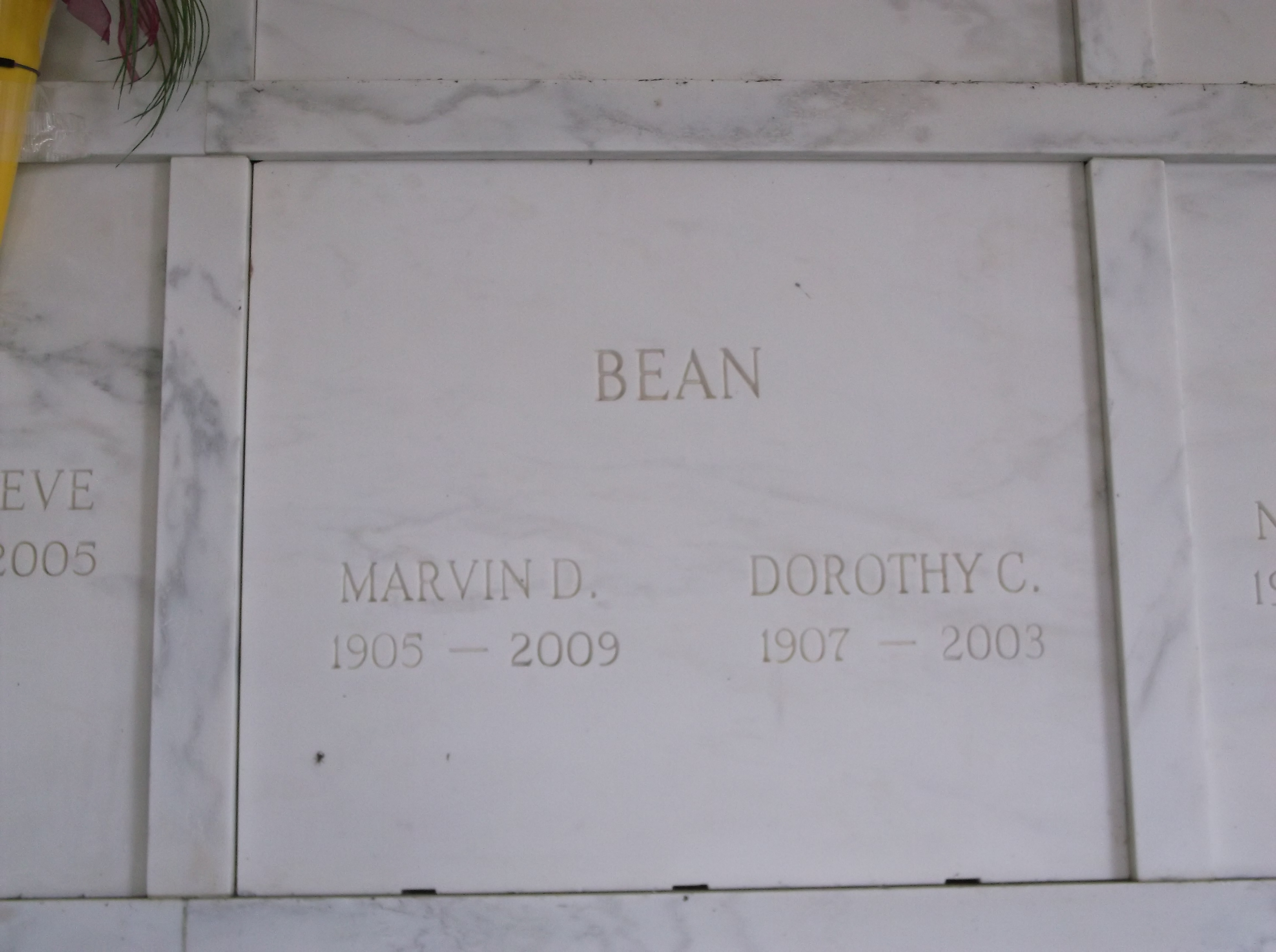 Dorothy C Bean