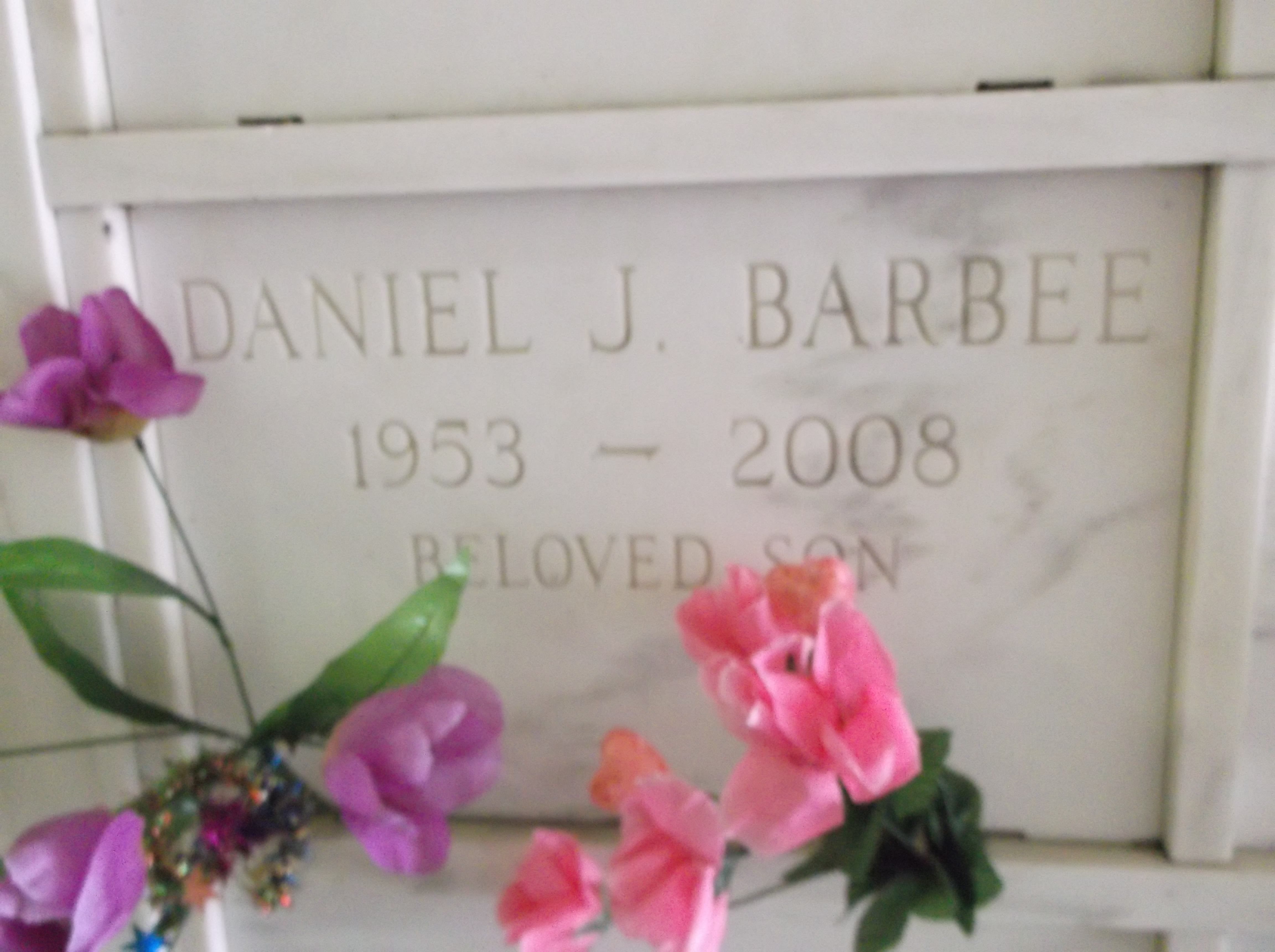 Daniel J Barbee