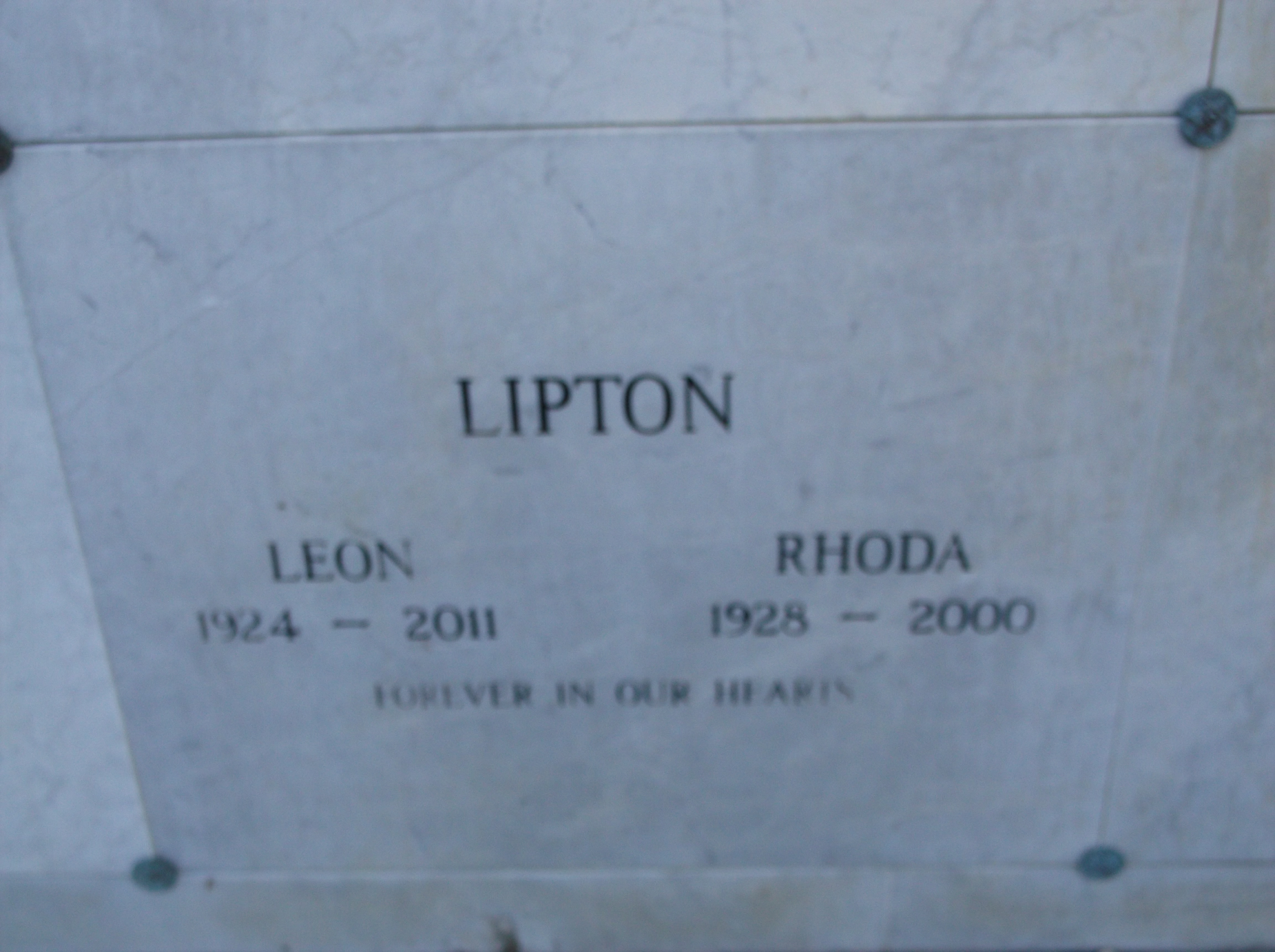 Leon Lipton