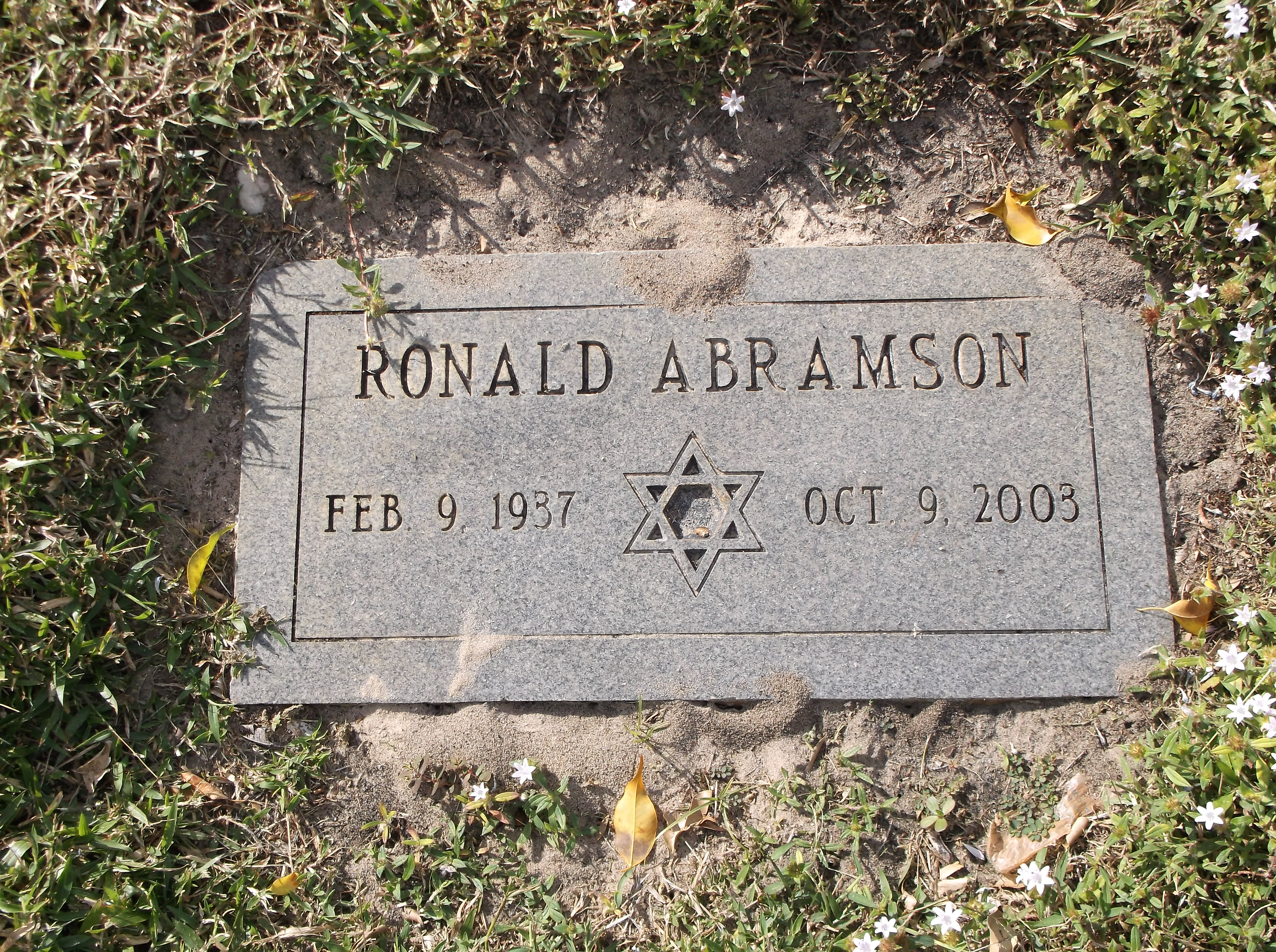 Ronald Abramson