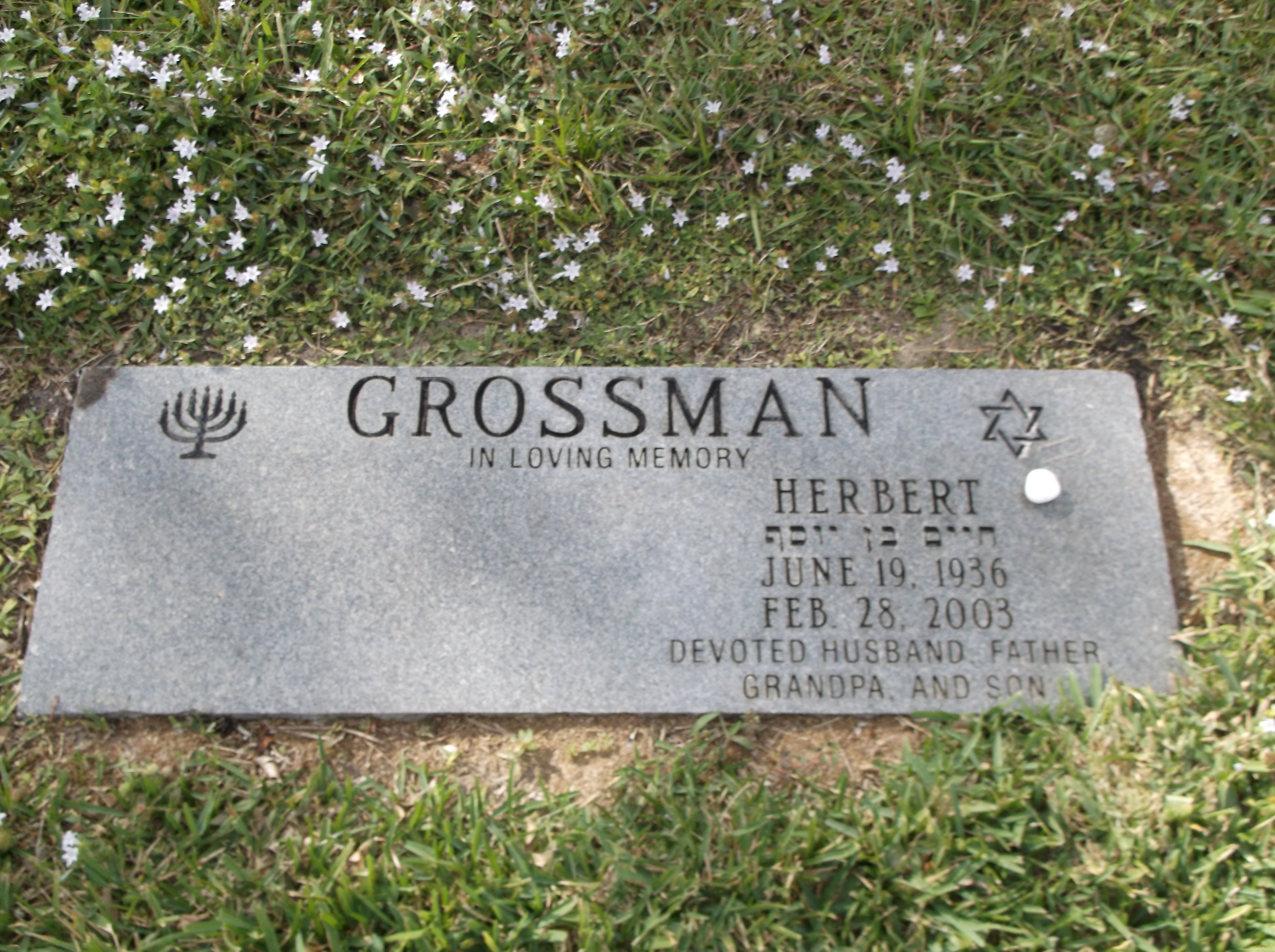 Herbert Grossman