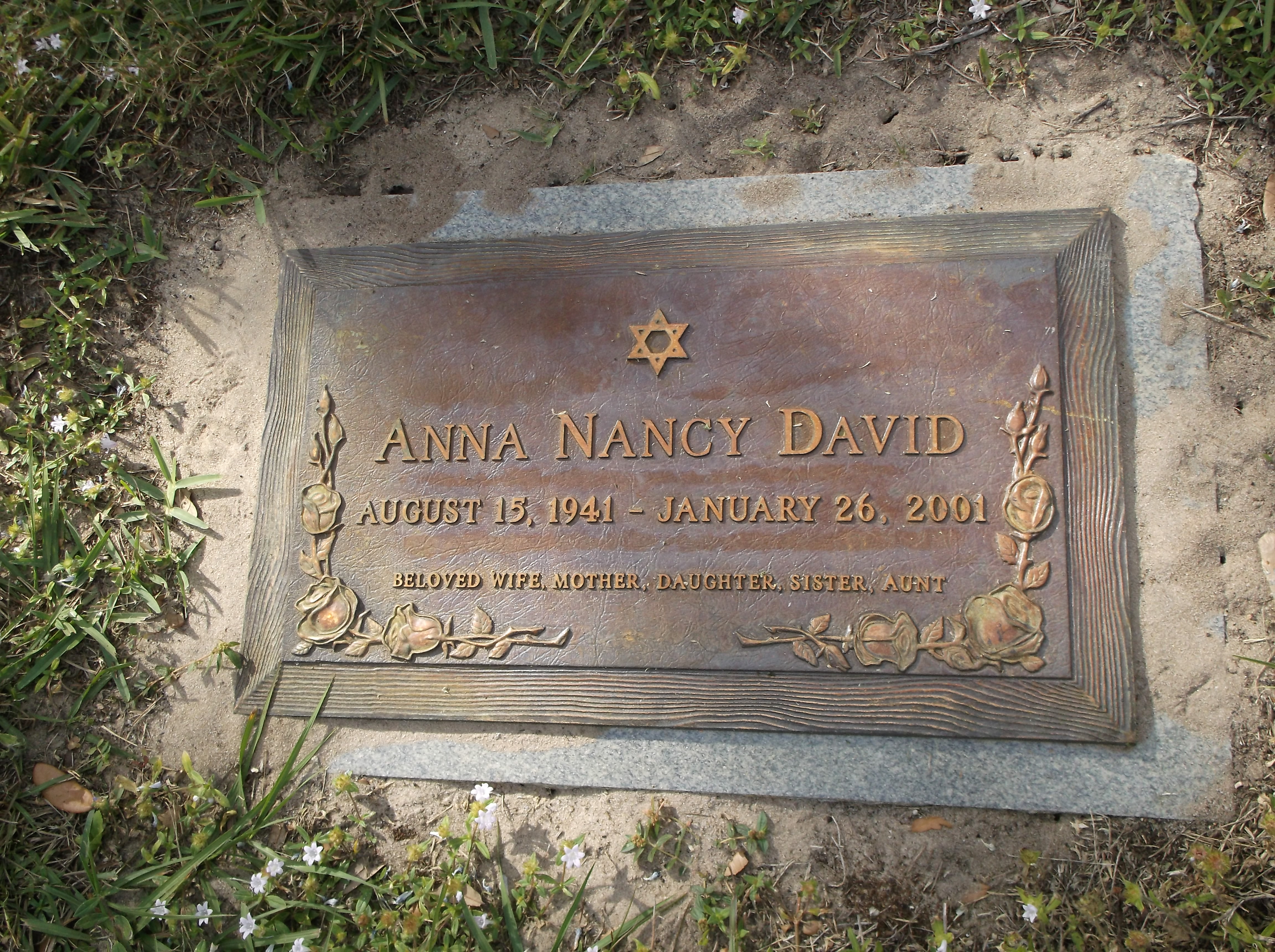 Anna Nancy David