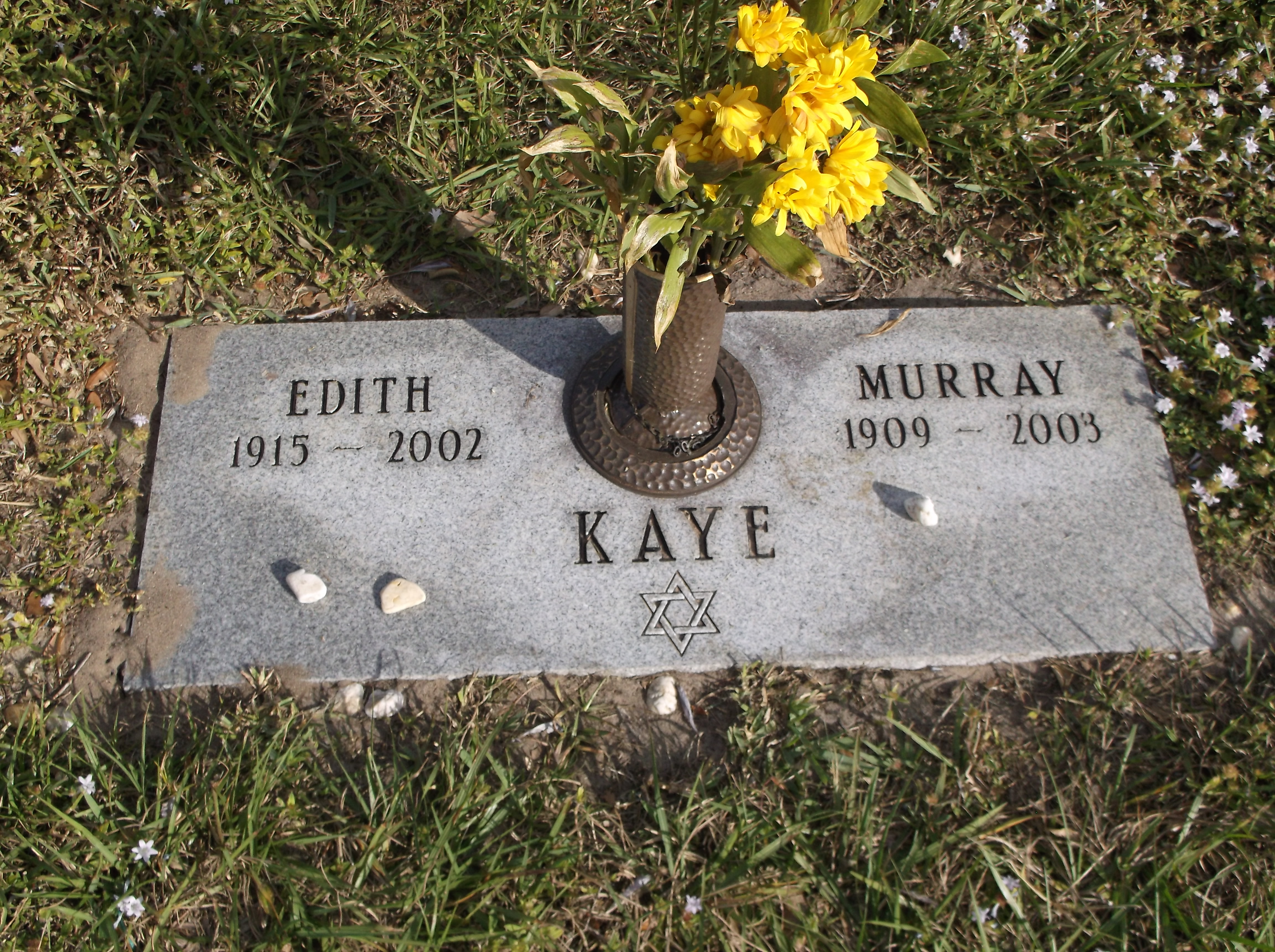 Murray Kaye