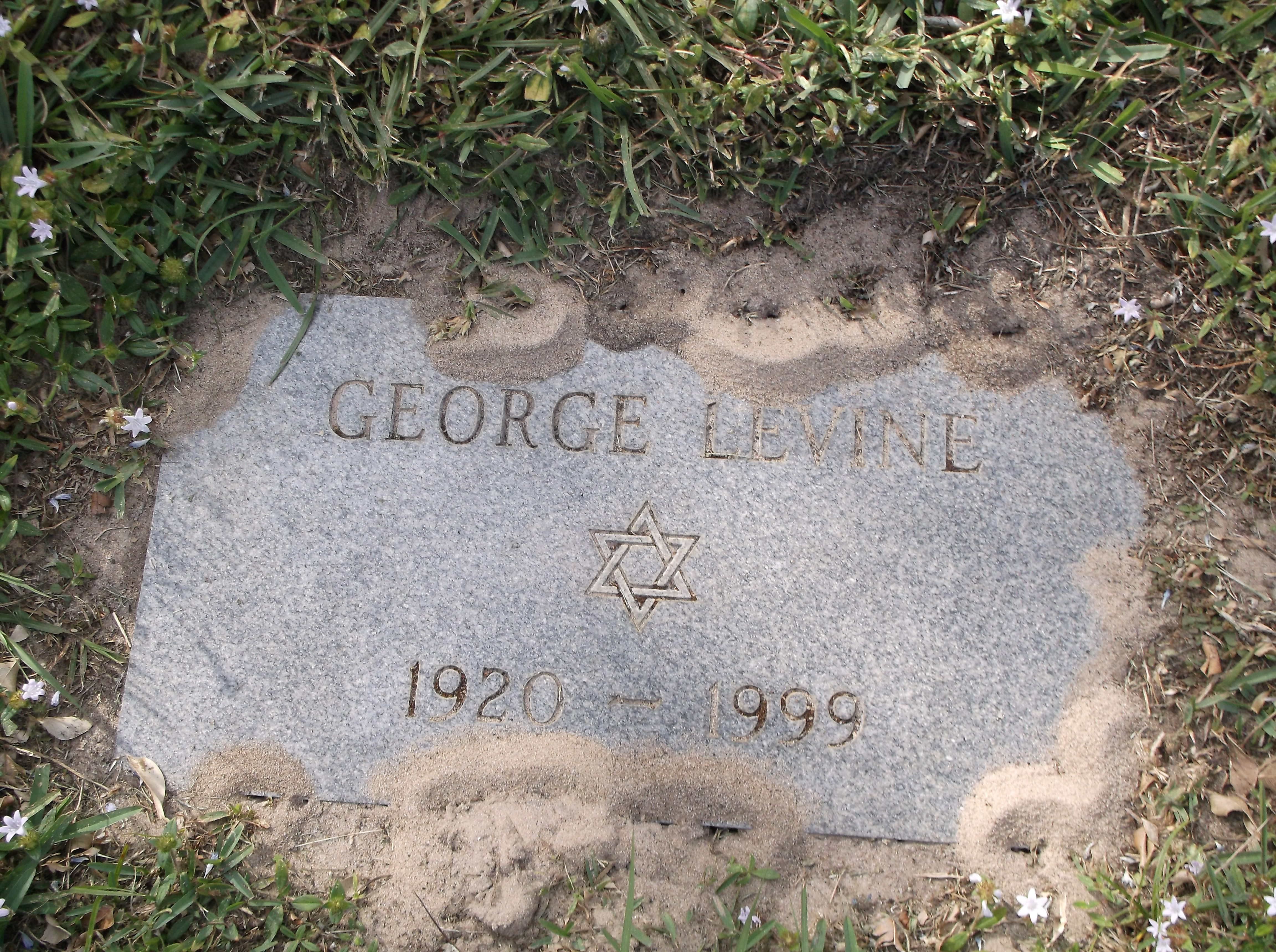 George Levine