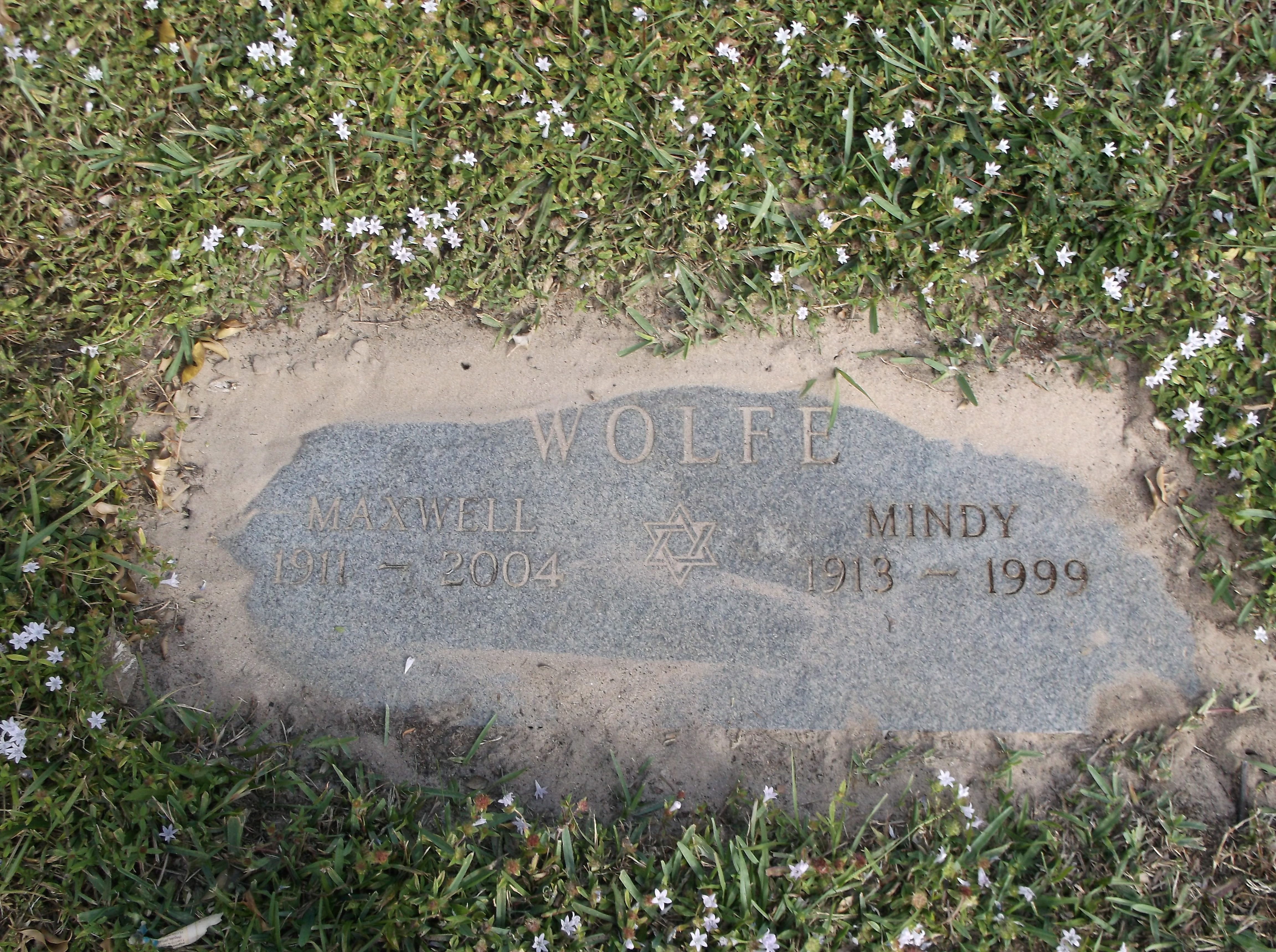 Mindy Wolfe