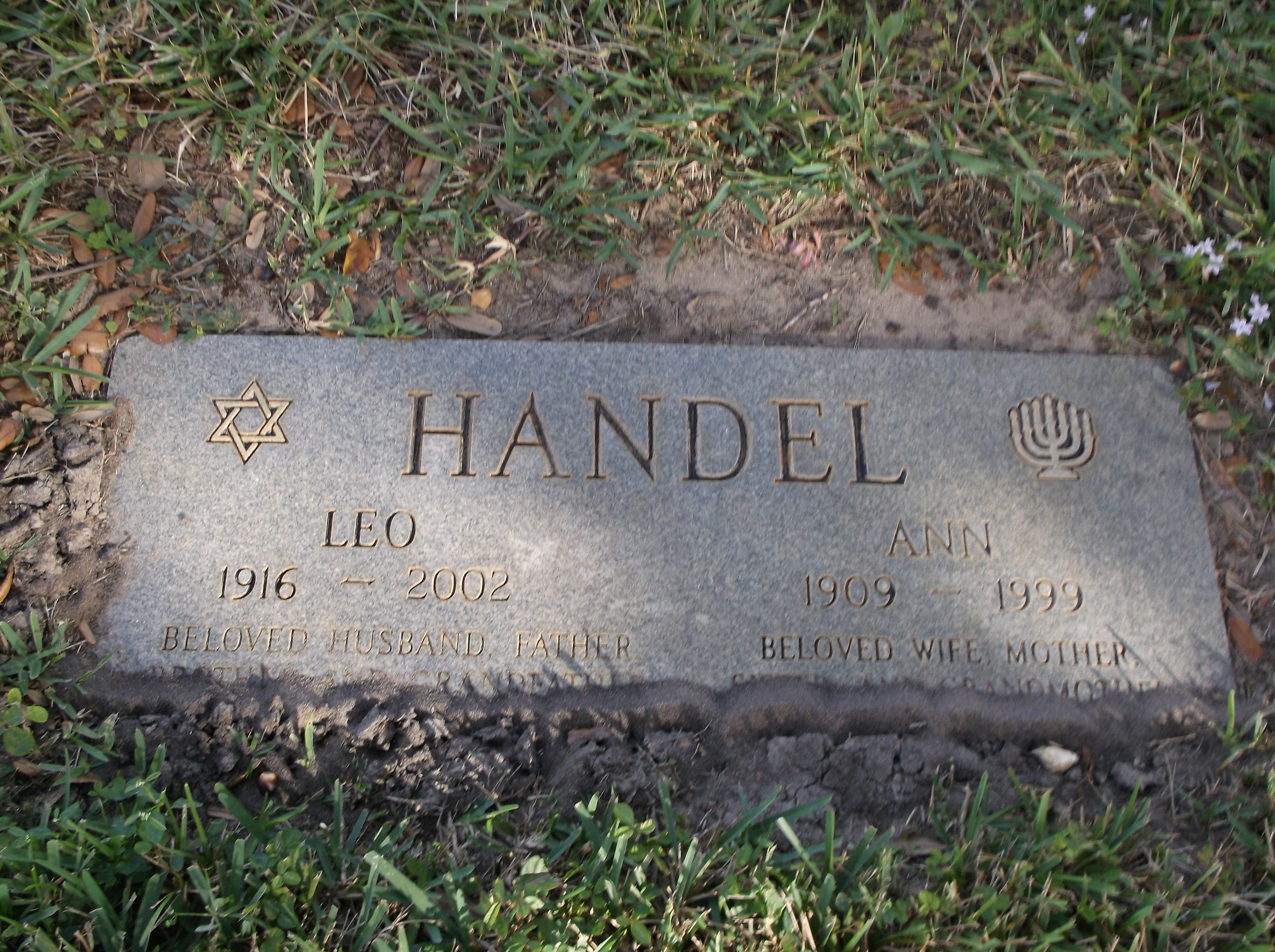 Ann Handel