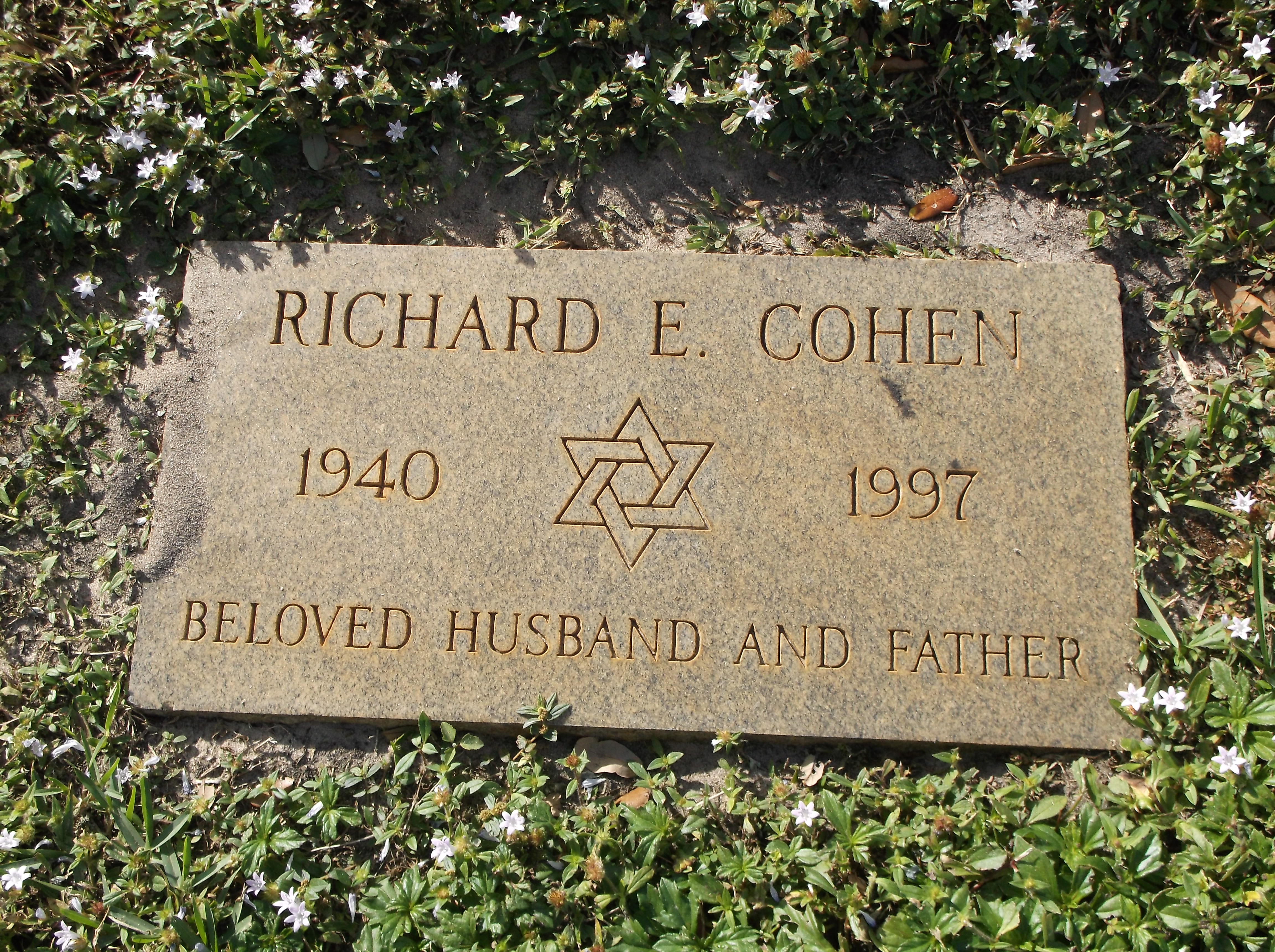 Richard E Cohen