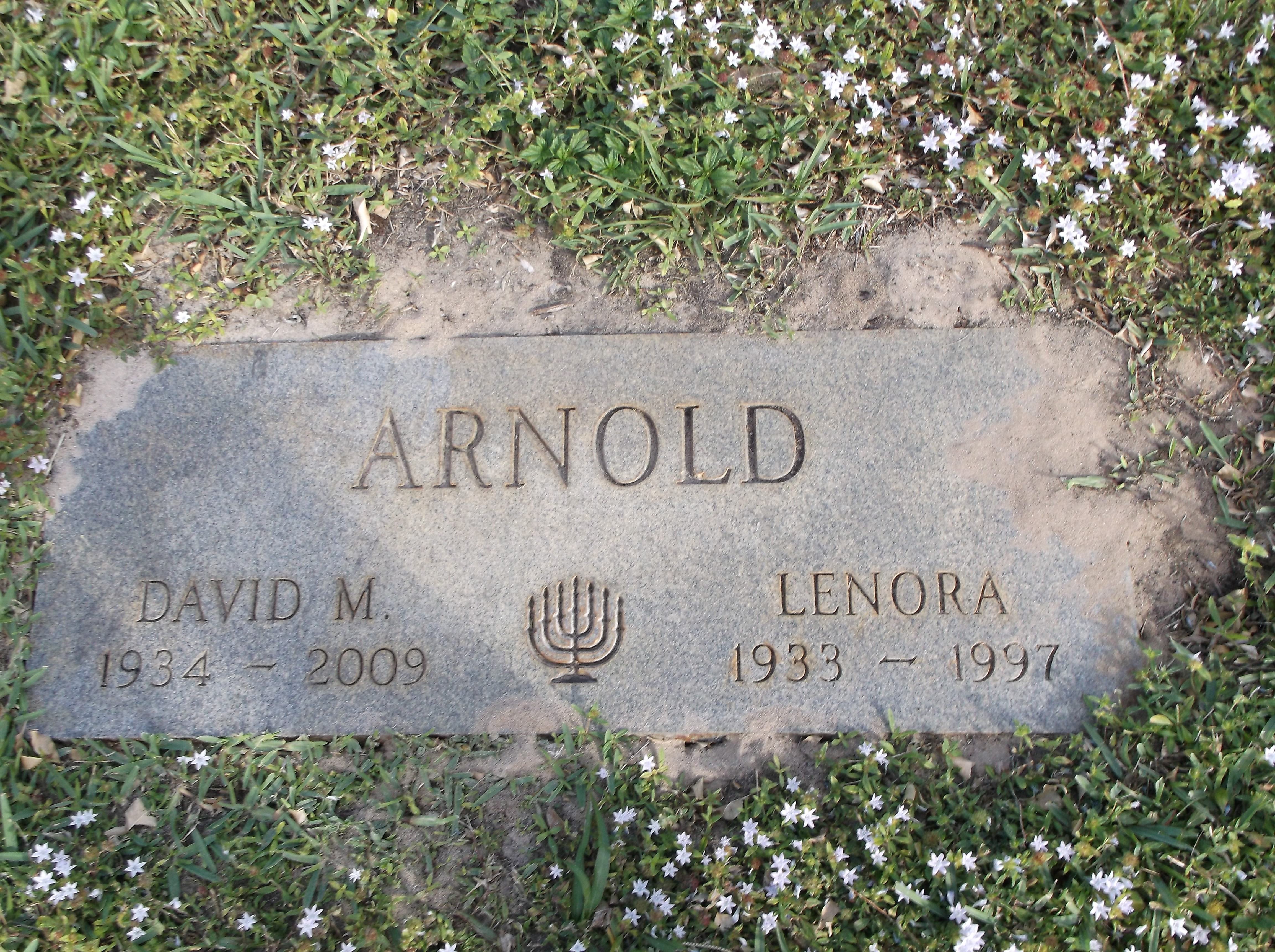 Lenora Arnold